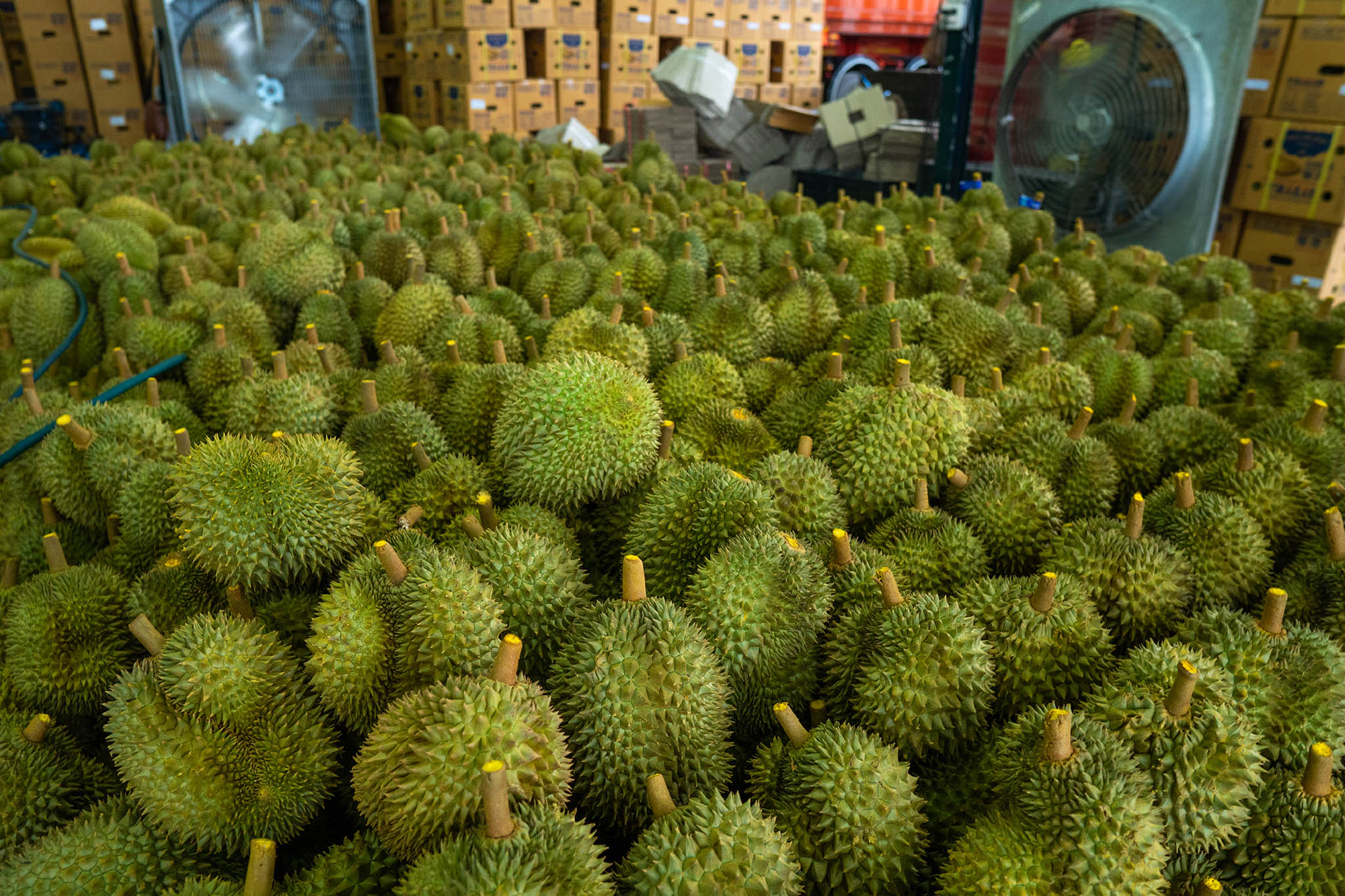 TCC warns Lhongs of any practices that may be deemed an offense, and action that will be taken if complaints regarding farmer exploitation are proven true.