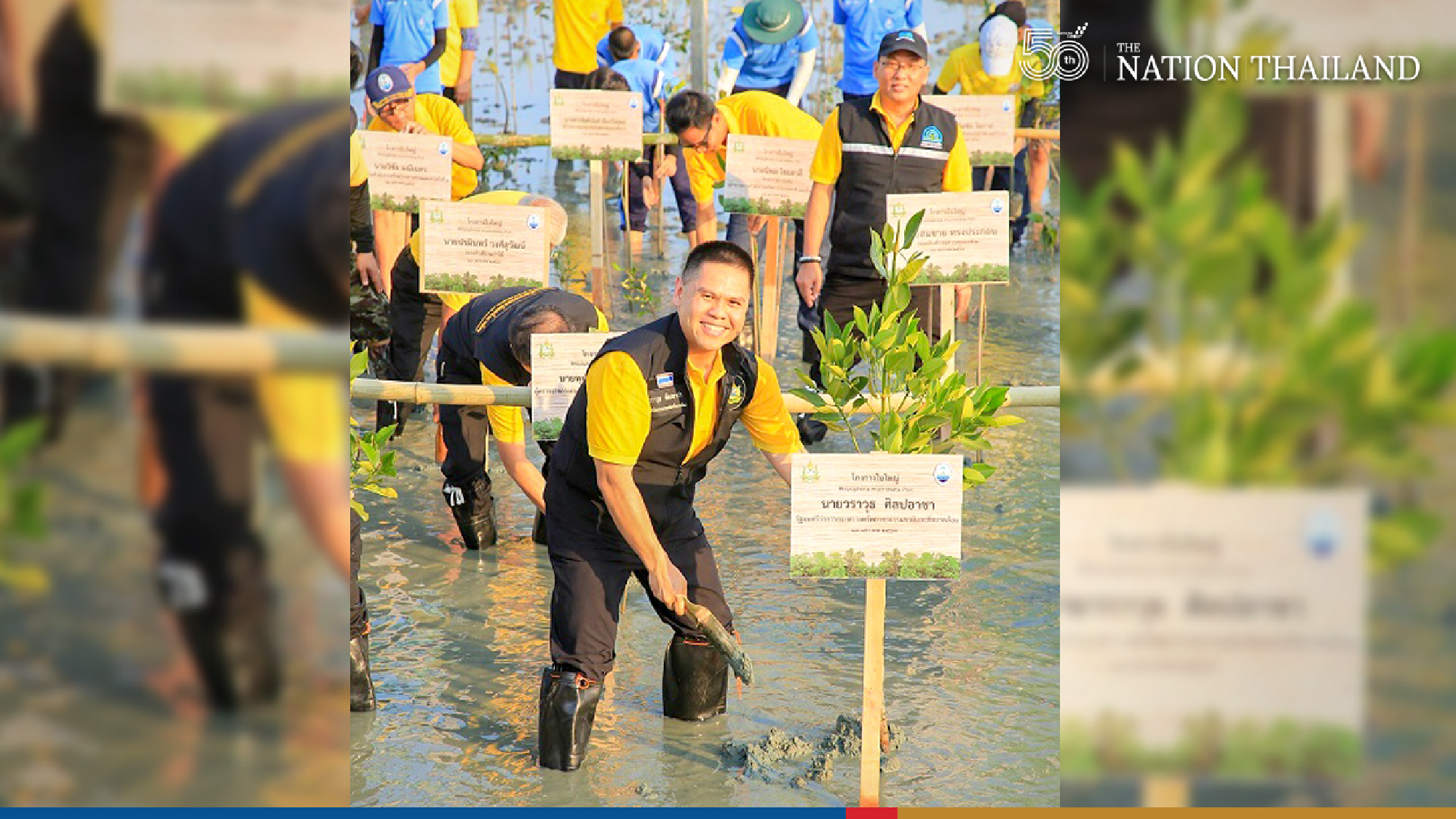 Quiet celebration to mark successes on National Mangrove Day