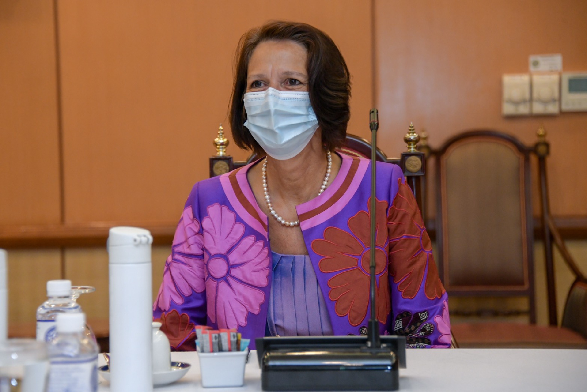 UN special envoy to Myanmar holds talks with Don