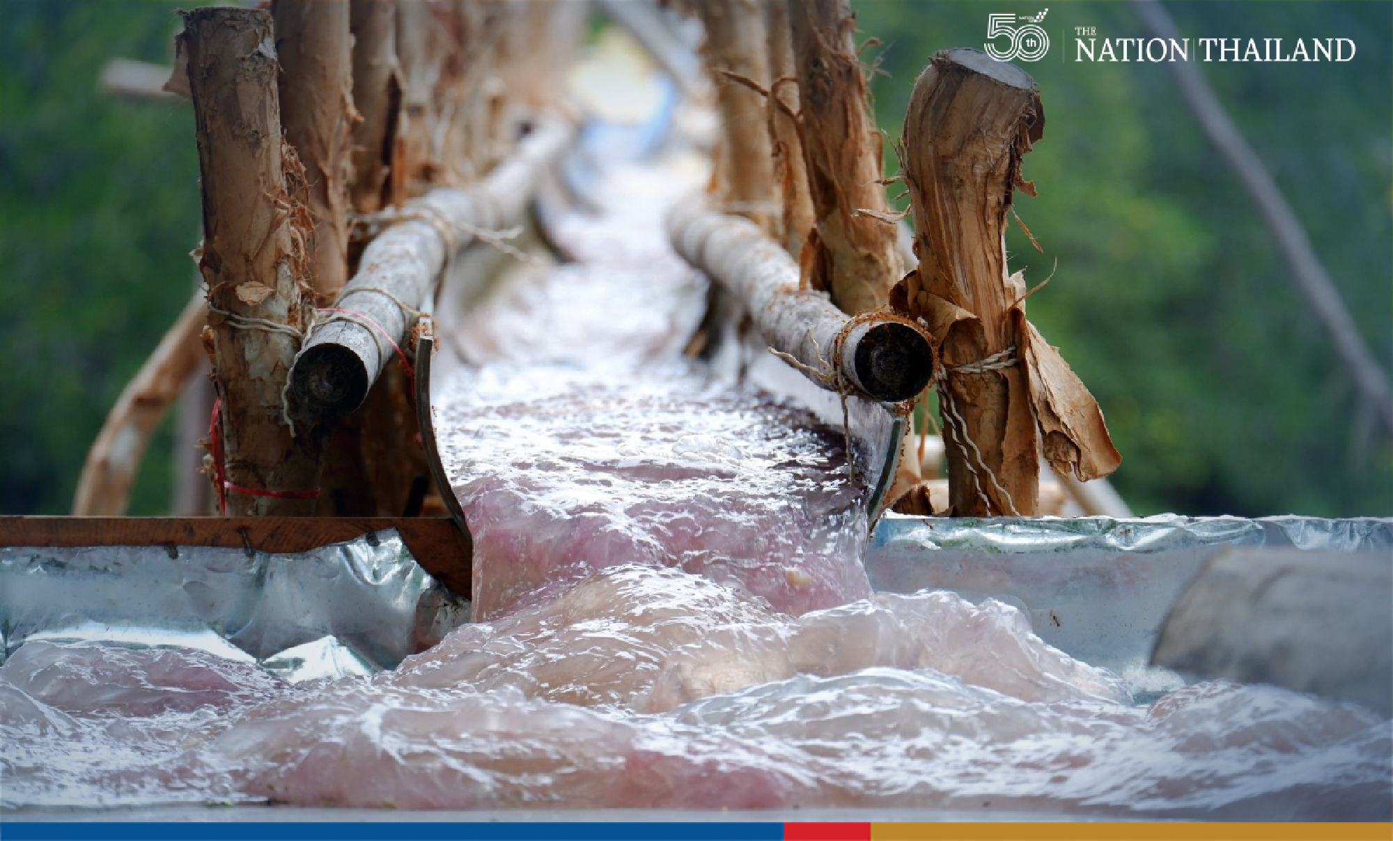 Tentacles of hope for Thai fishermen as jellyfish season arrives