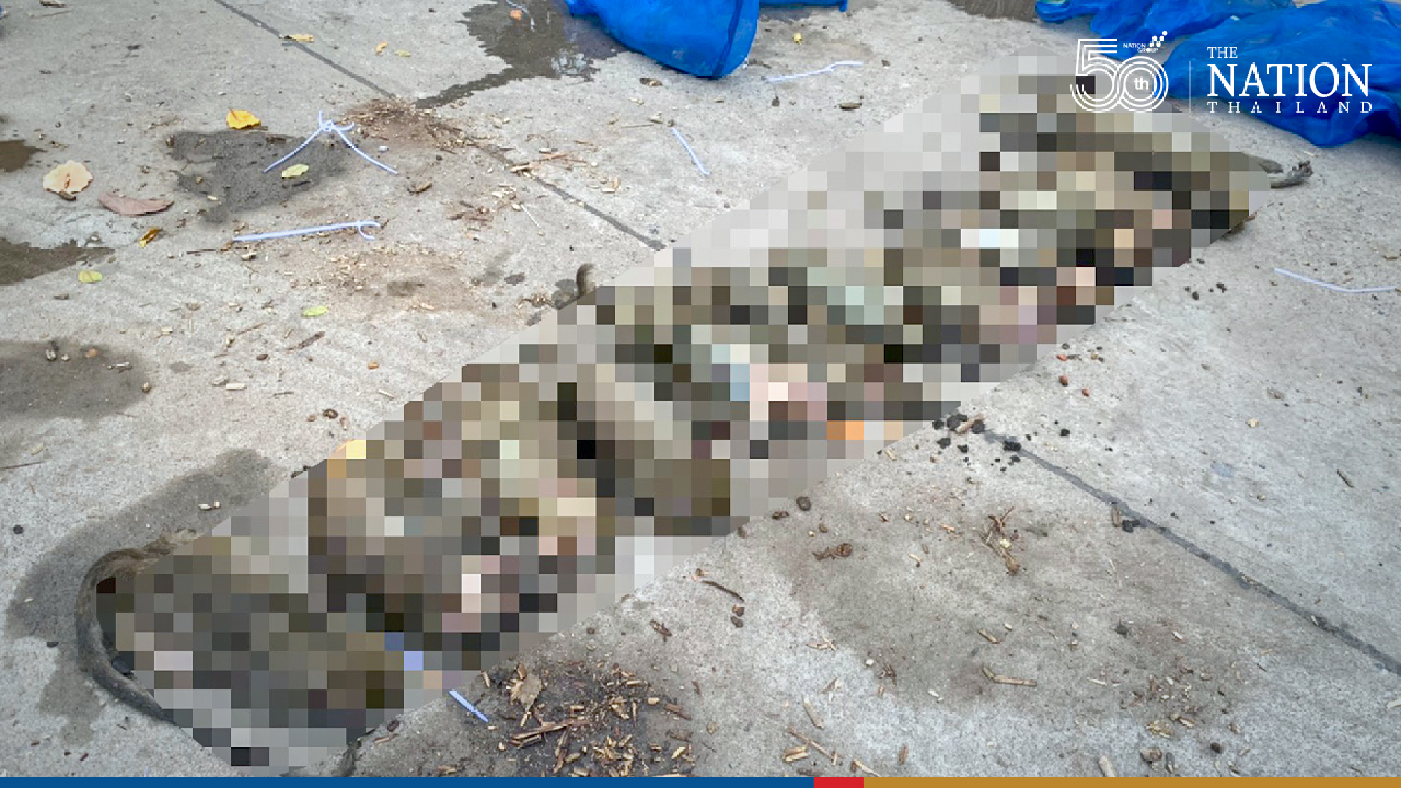 Man arrested for allegedly smuggling over 100 wild monkeys