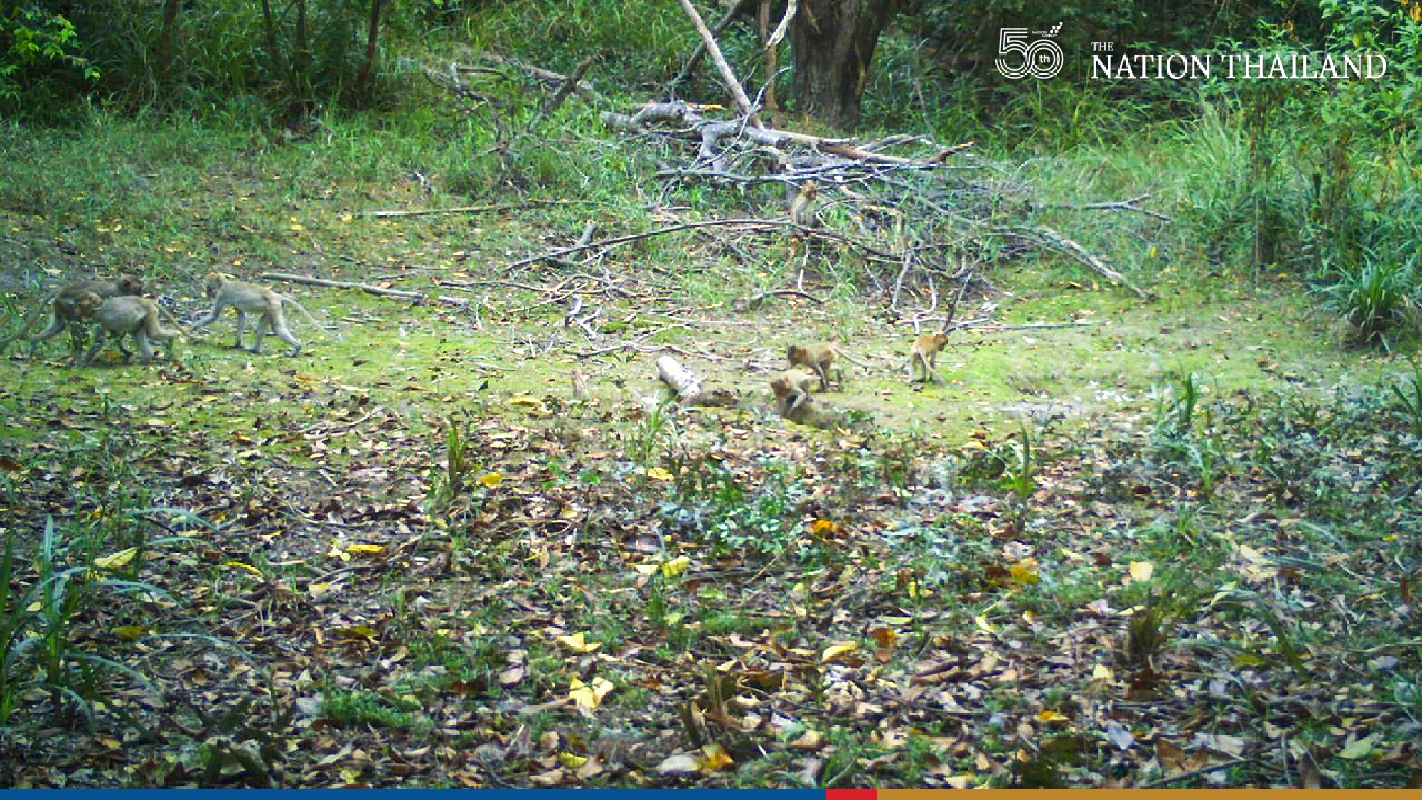 Camera traps offers insights into wildlife at sanctuary