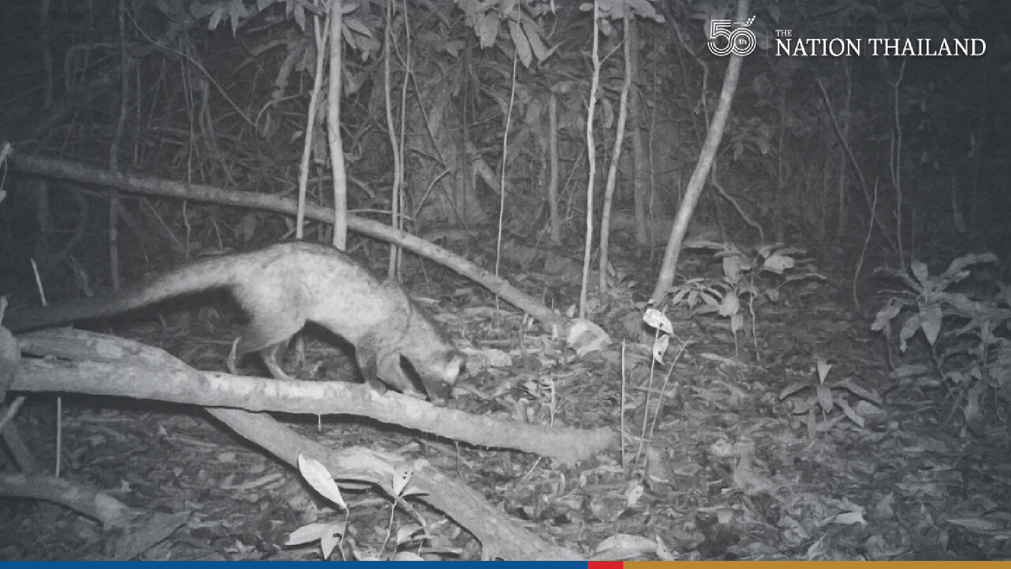 Camera traps offers insights into wildlife at sanctuary