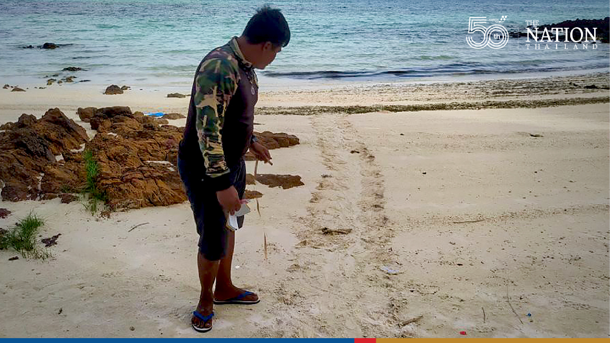 Rare hawksbill sea turtle eggs found on island off Prachuap Khiri Khan