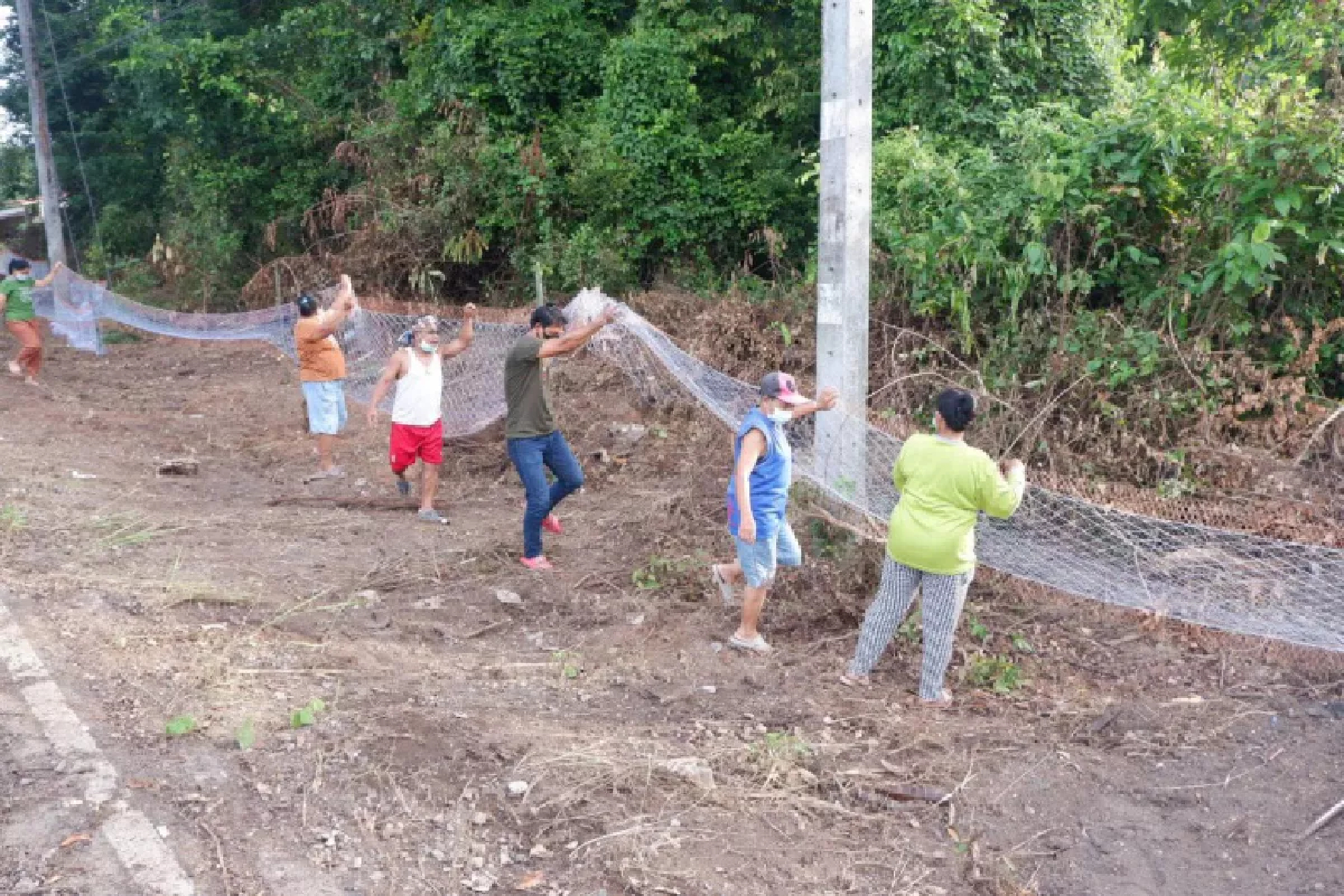Hunt on for king cobras in Trang after over 20 seen last week