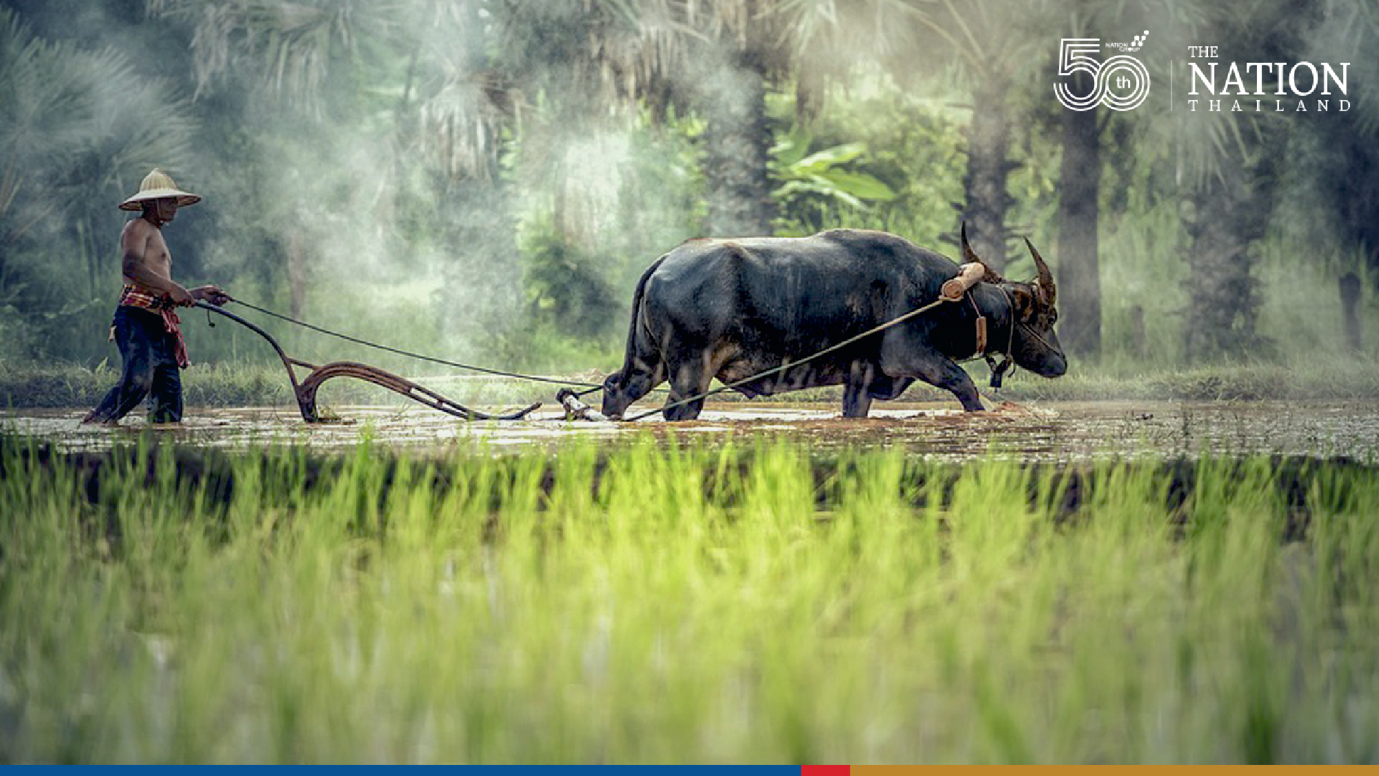 Eighth lot of Thai rice set for export to China under 1m tonnes deal