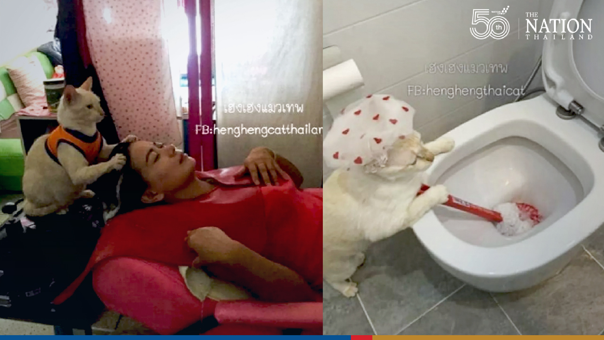 Photo credit: เฮงเฮง แมวเทพ