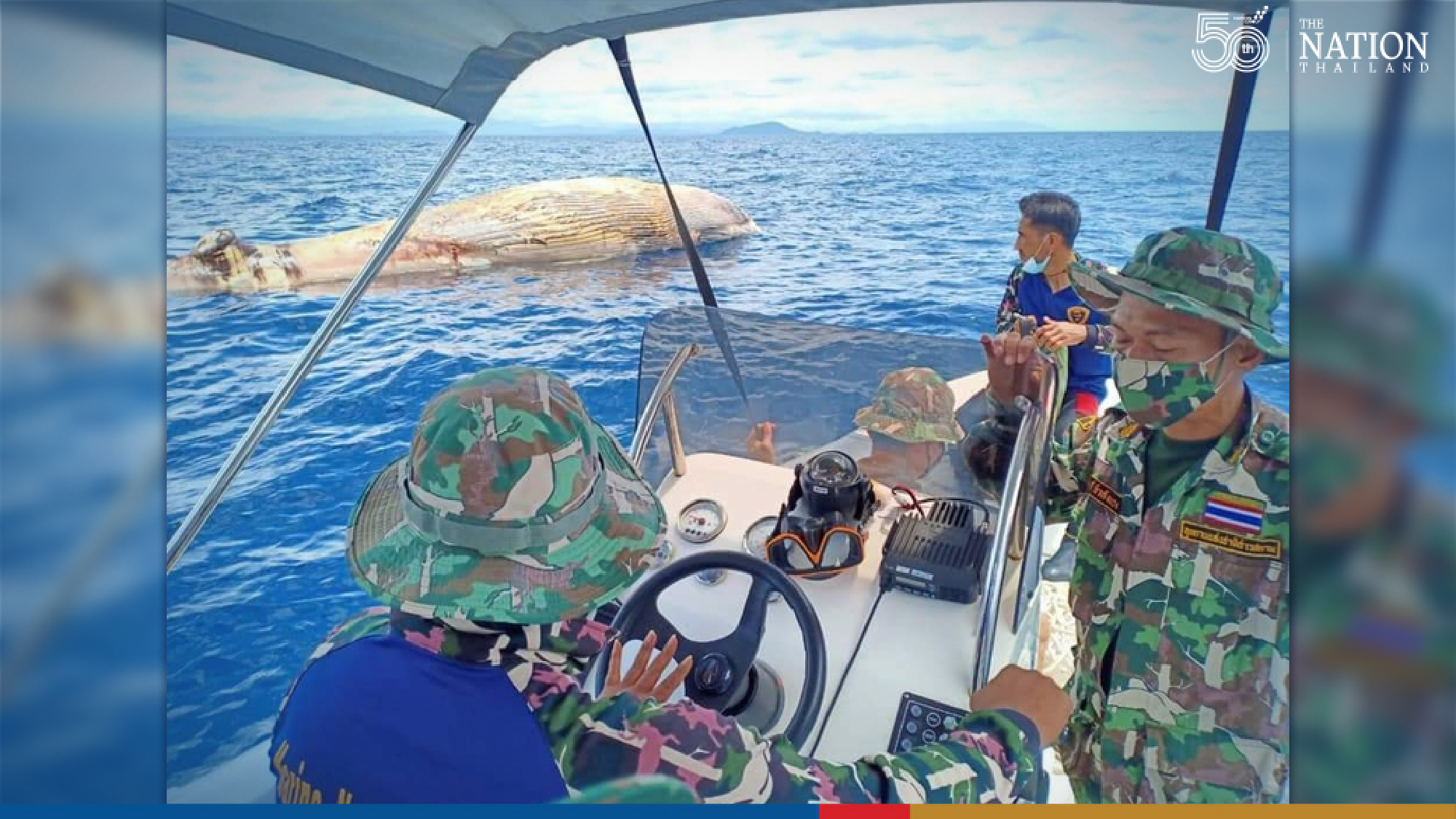 Scientists probe carcass of giant white whale found floating in Gulf of Thailand