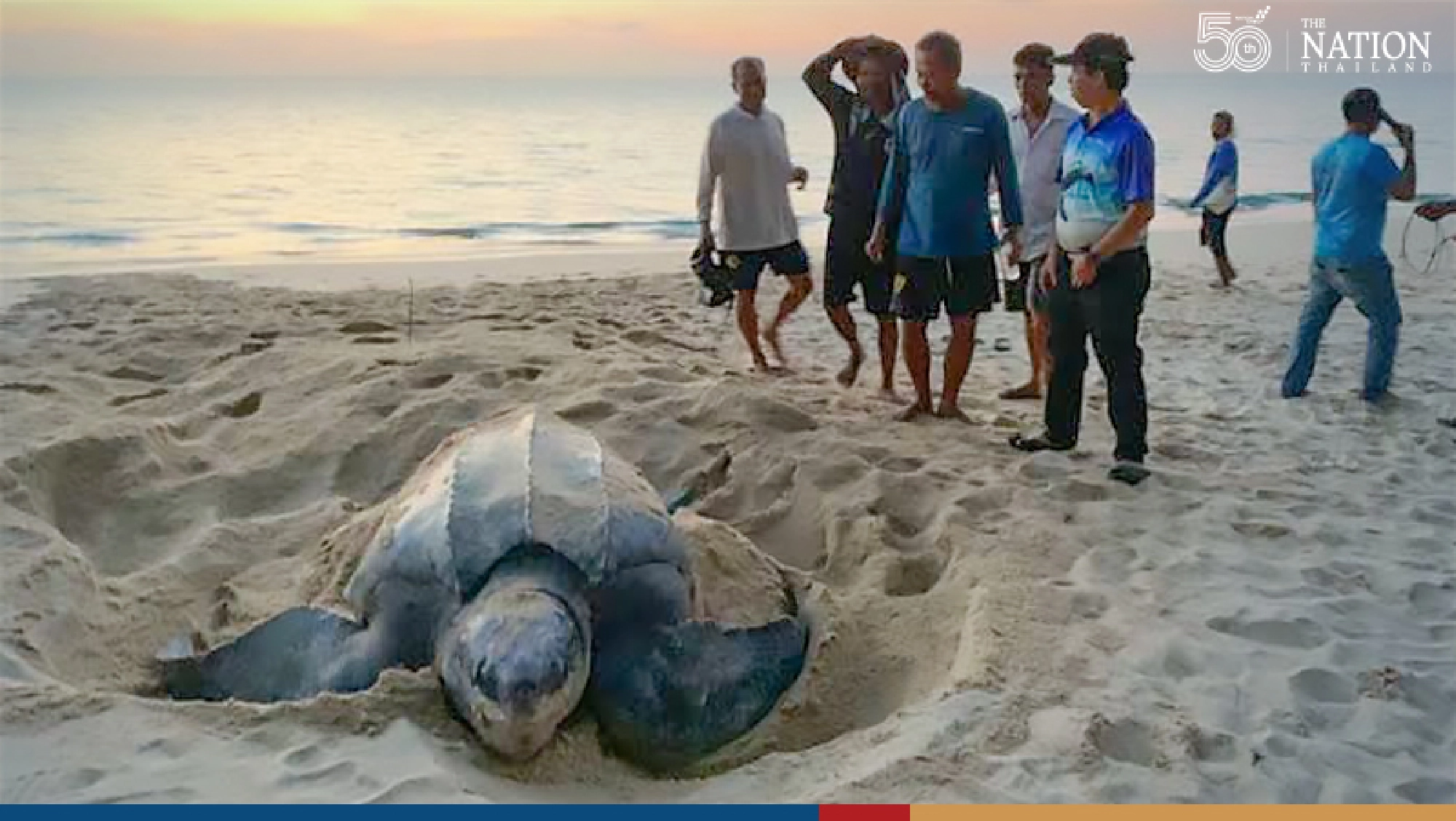 Thailand marks World Oceans Day by urging all Thais to conserve precious marine life