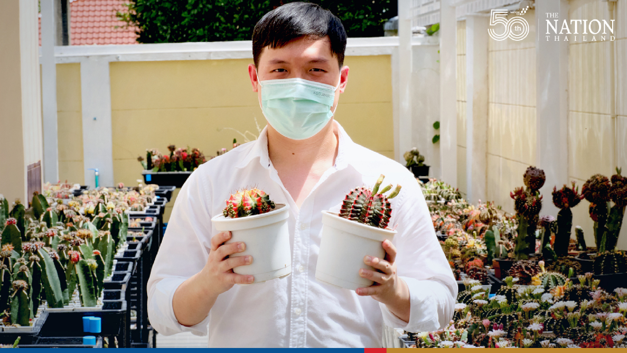 Dream of starting a business from home? Talk to the cactus guy