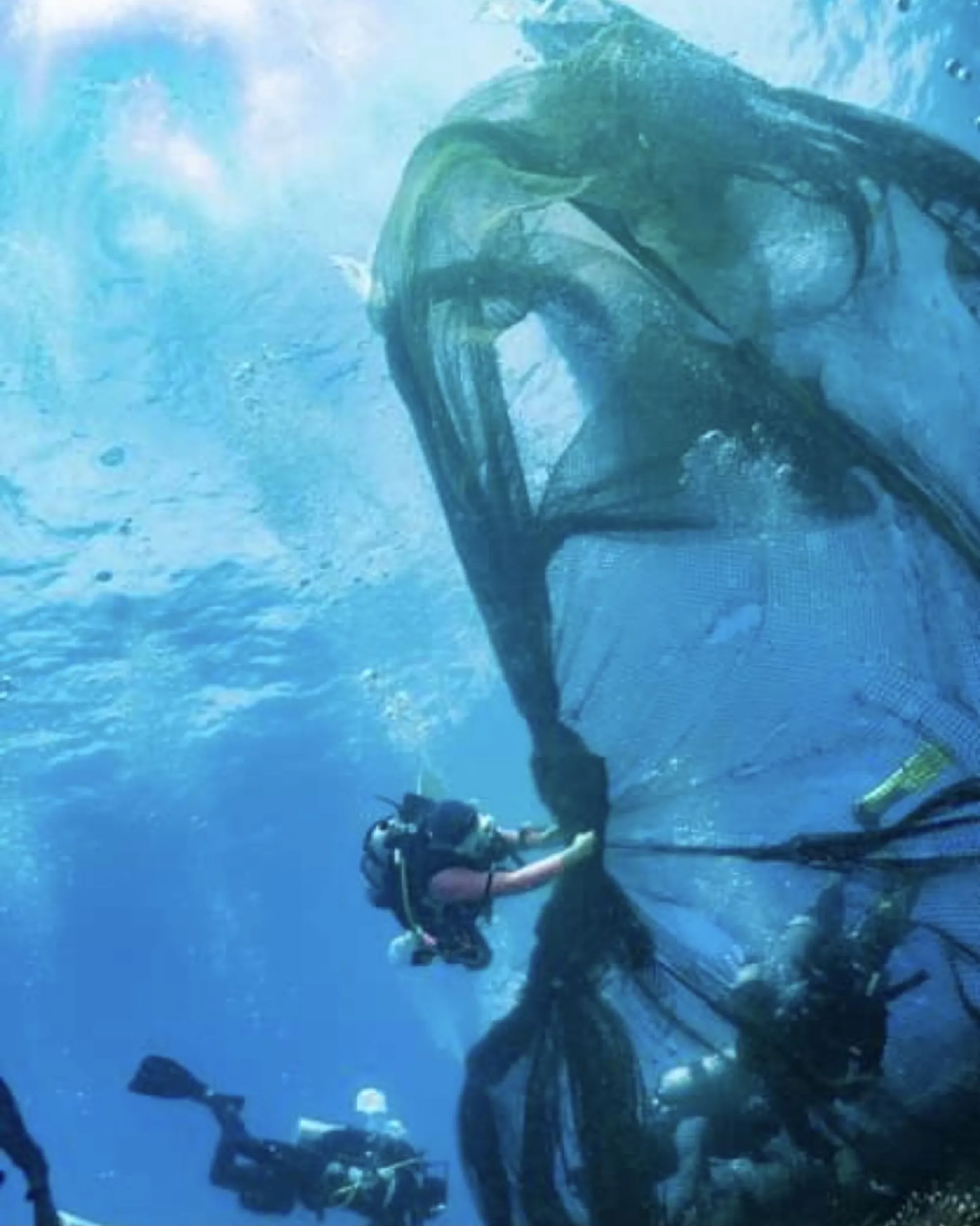 40 divers rescue Thai reef from destruction by 800-kilo fishing net