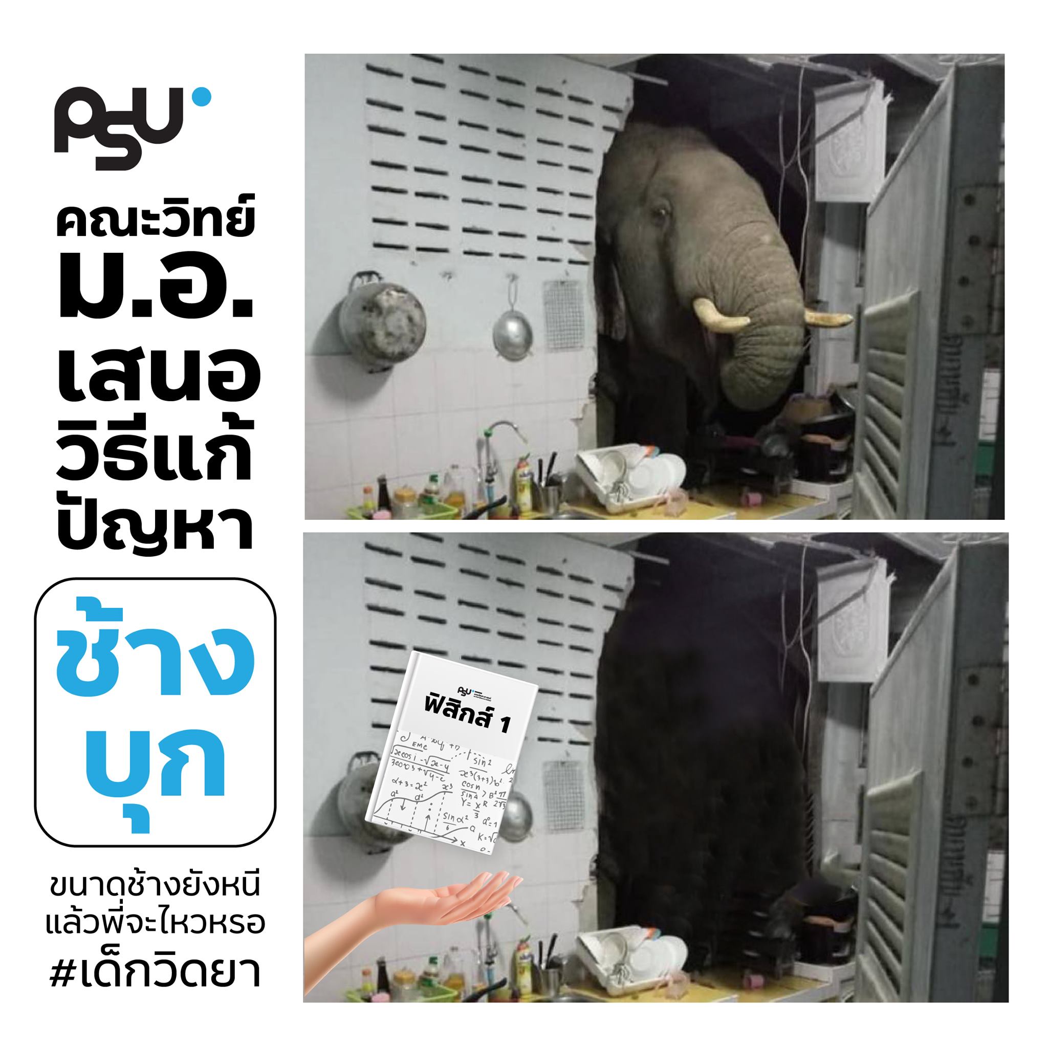 Photo Credit: Prince of Songkla University's Faculty of Science