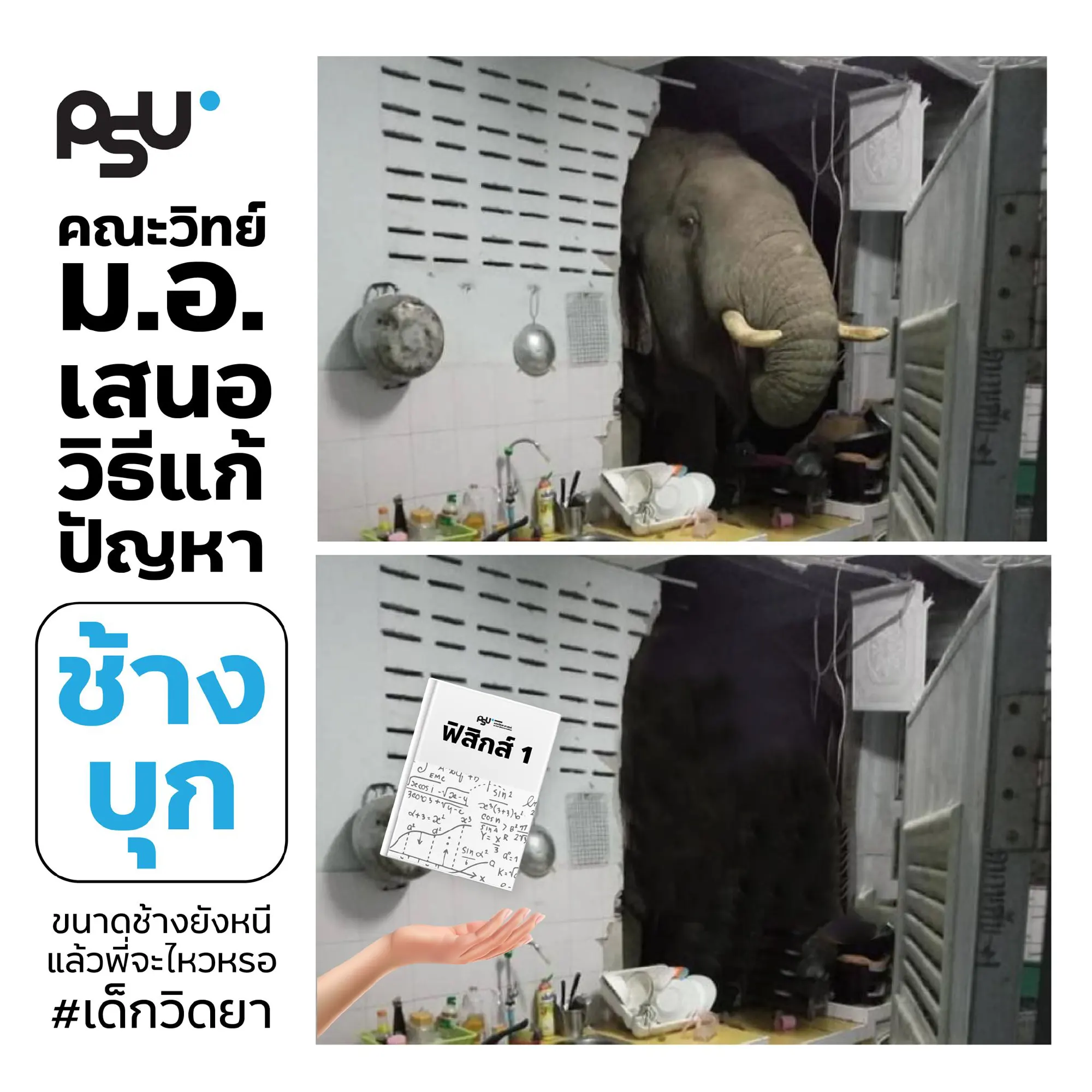 Photo Credit: Prince of Songkla University's Faculty of Science