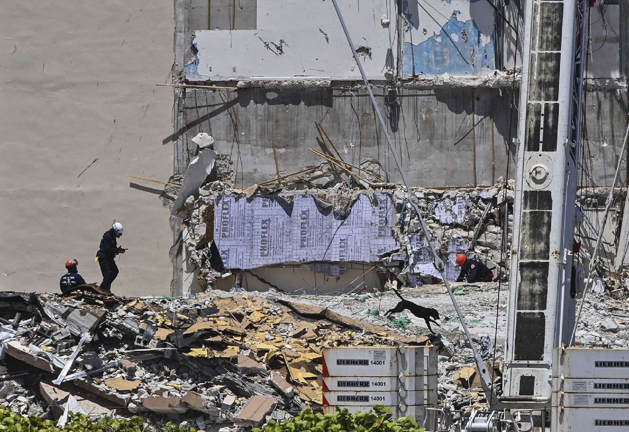 Rescue crew members and their search-and-rescue dog continue to look for survivors Sunday at the collapsed Champlain Towers South condominium building in Surfside, Fla. MUST CREDIT: Washington Post photo by Ricky Carioti.