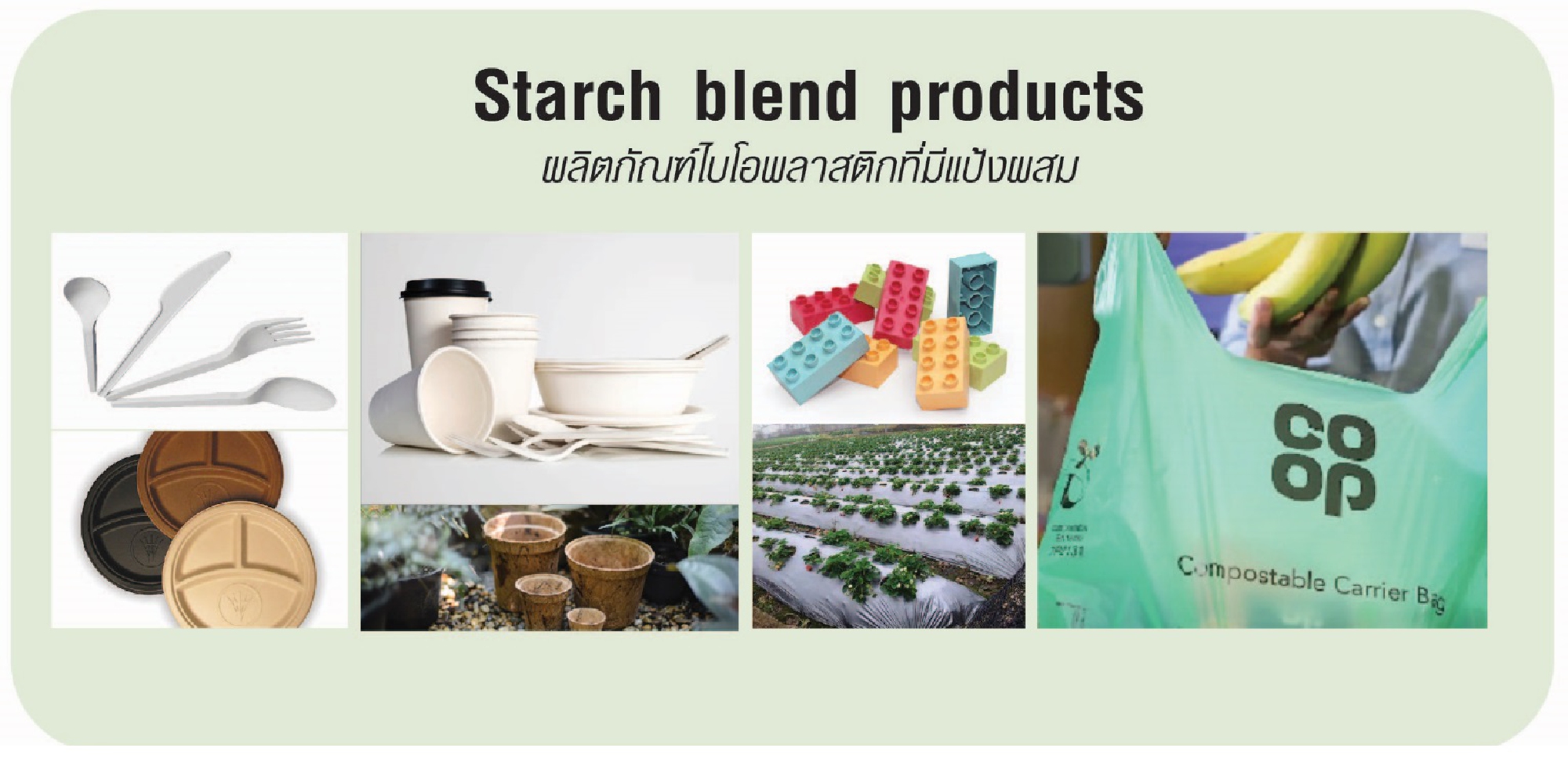 Thai Wah pursues corporate success with Sustainable Development Goals