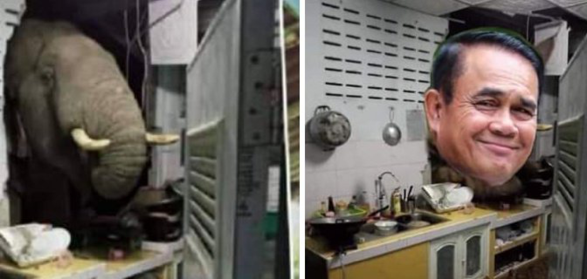 From political jibes to breakfast fave – Hua Hin elephant adventure sparks funny memes