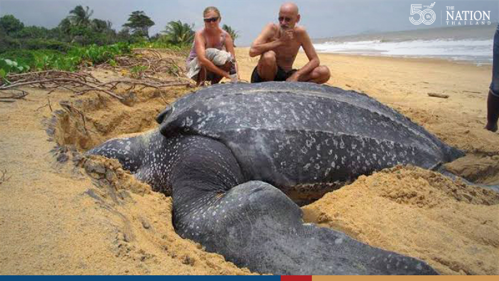 Thailand marks World Oceans Day by urging all Thais to conserve precious marine life