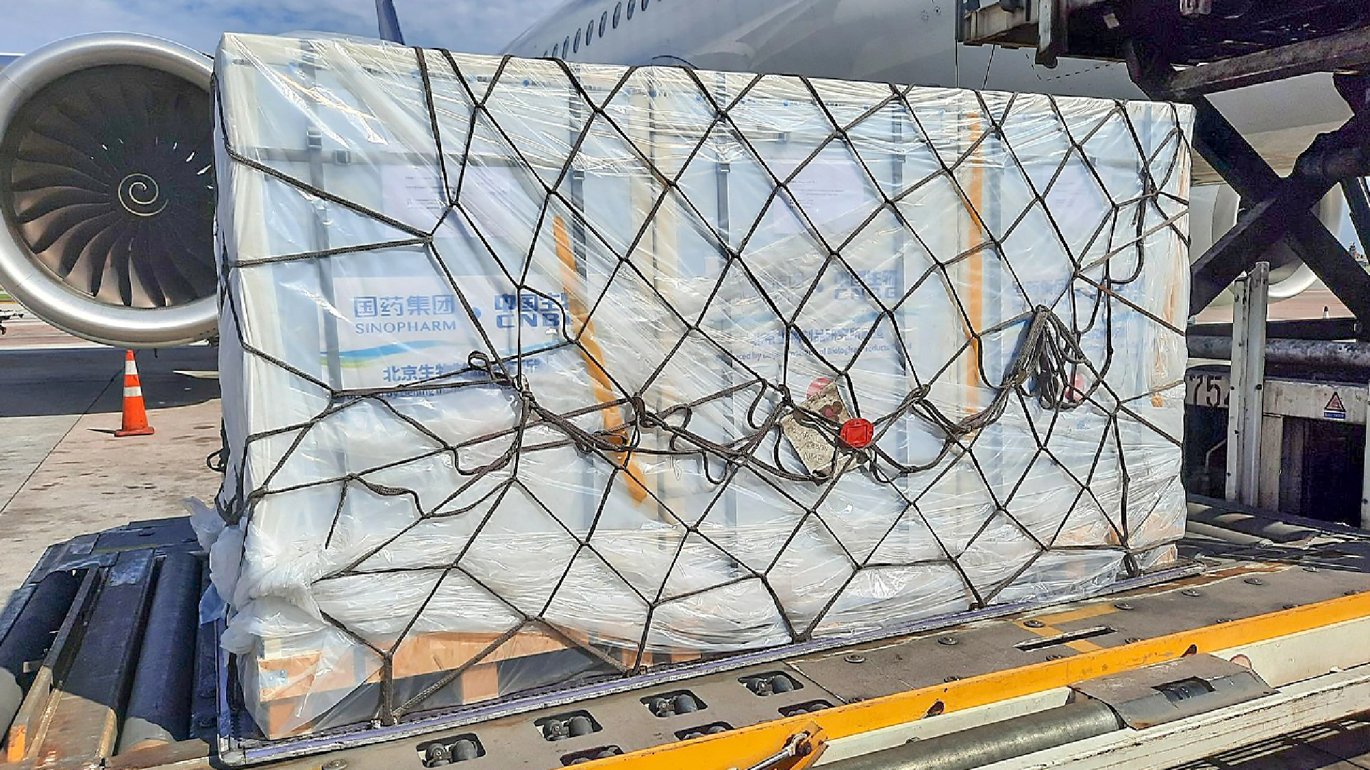 First batch of Sinopharm vaccine ordered by Chulabhorn academy arrives