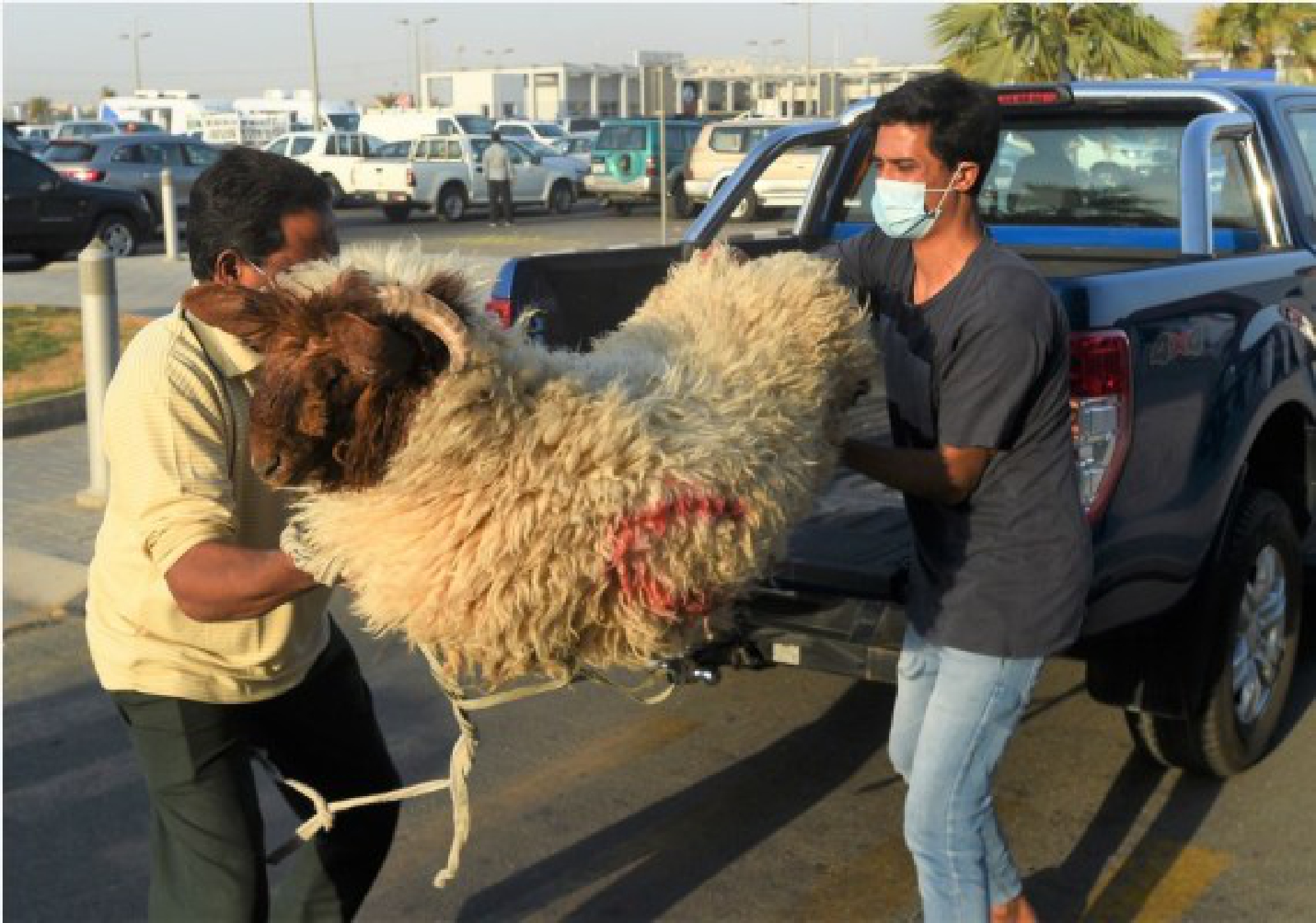 People carry a sheep during Eid al-Adha holiday in Capital Governorate, Kuwait, 
