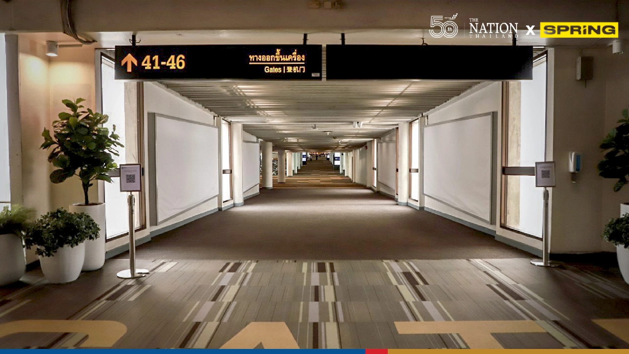 Grounded by a pandemic