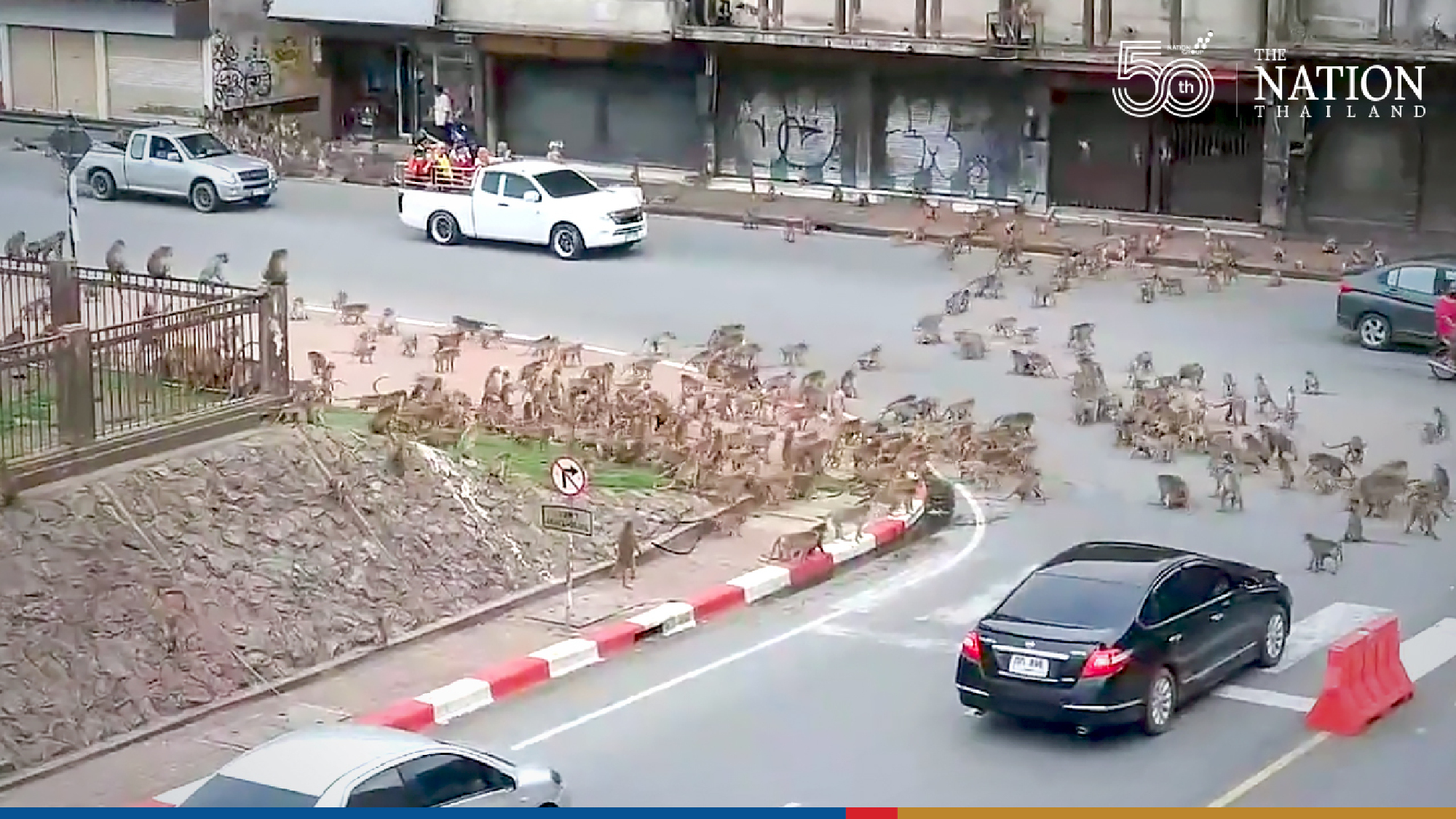 Warring monkeys bring Lopburi traffic to a standstill