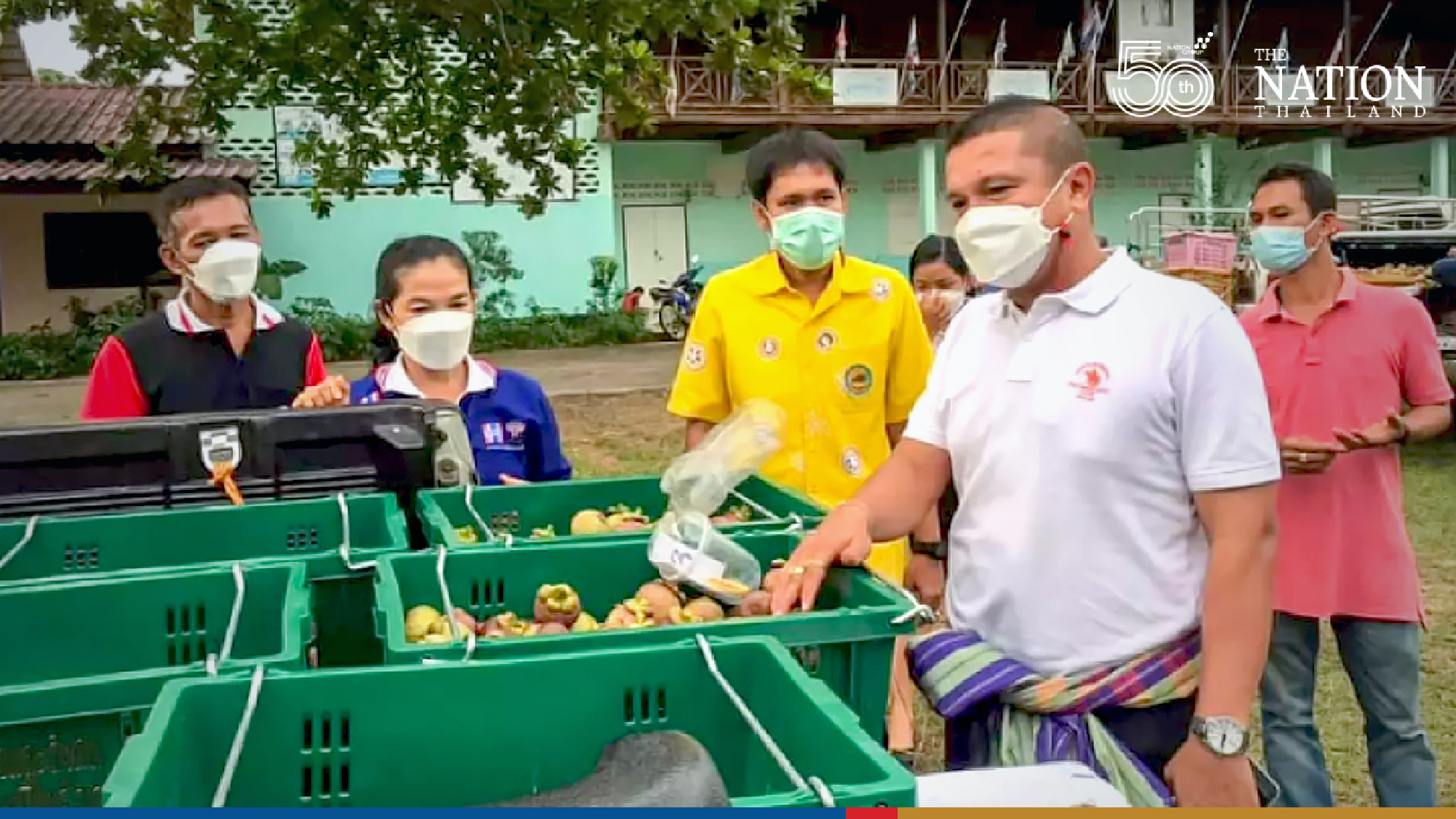 Government intervention sought to deal with mangosteen oversupply problem