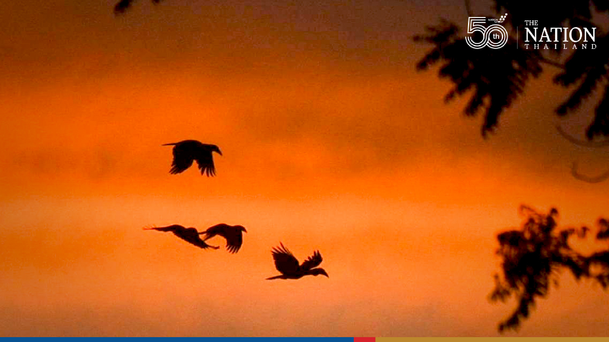 Photo Credit: Department of National Parks, Wildlife and Plant Conservation