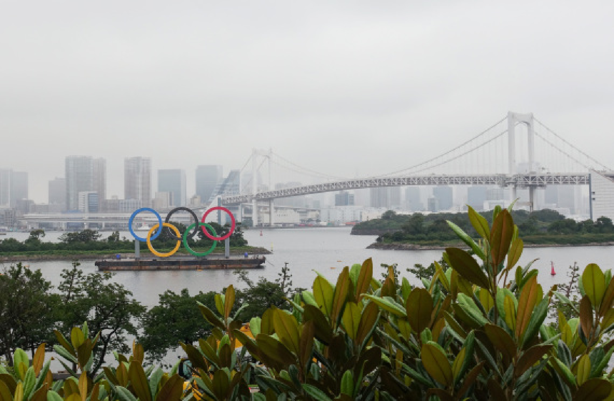 The Olympic Rings displayed at Odaiba Marine Park, Tokyo