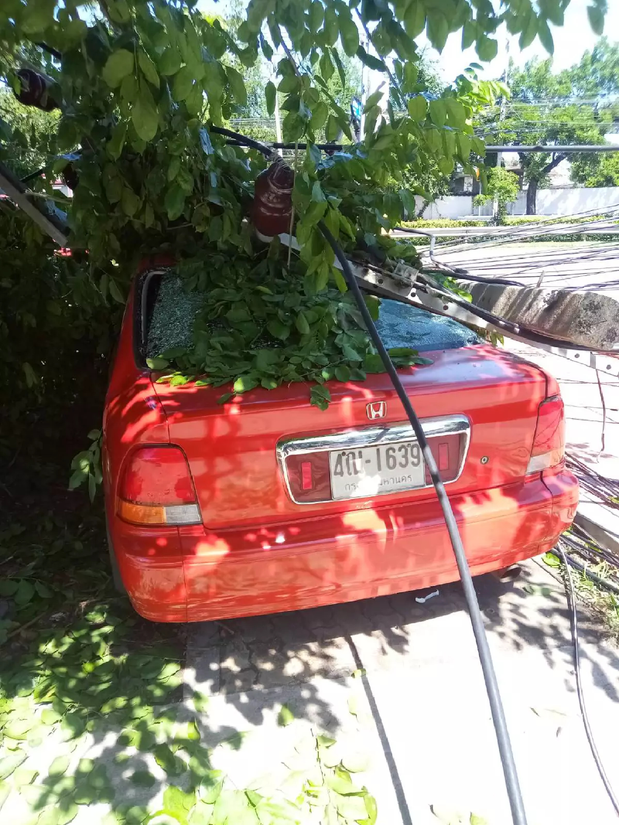 Bangkok area suffers power outage as bus rams into electric posts