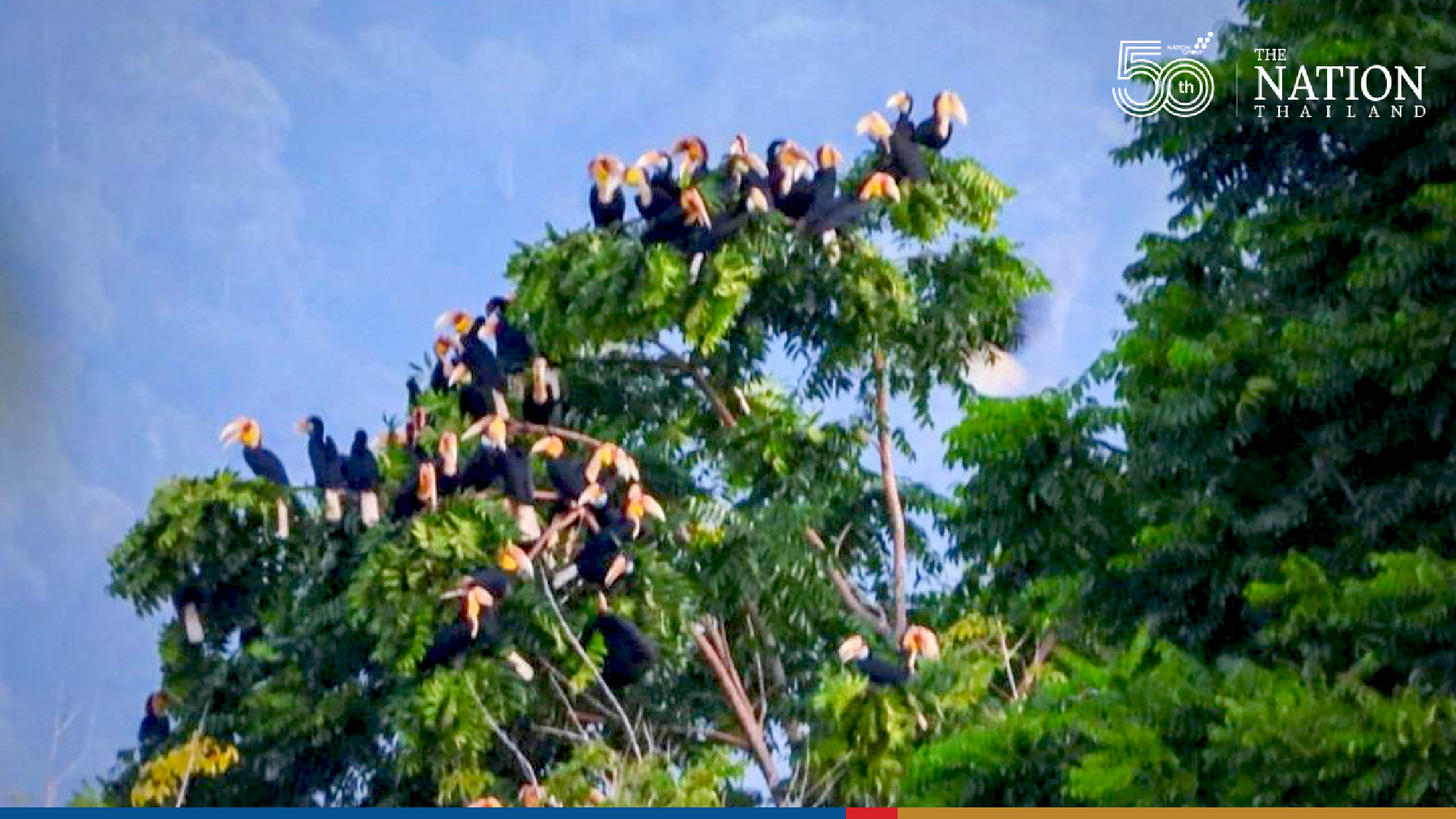 Photo Credit: Department of National Parks, Wildlife and Plant Conservation