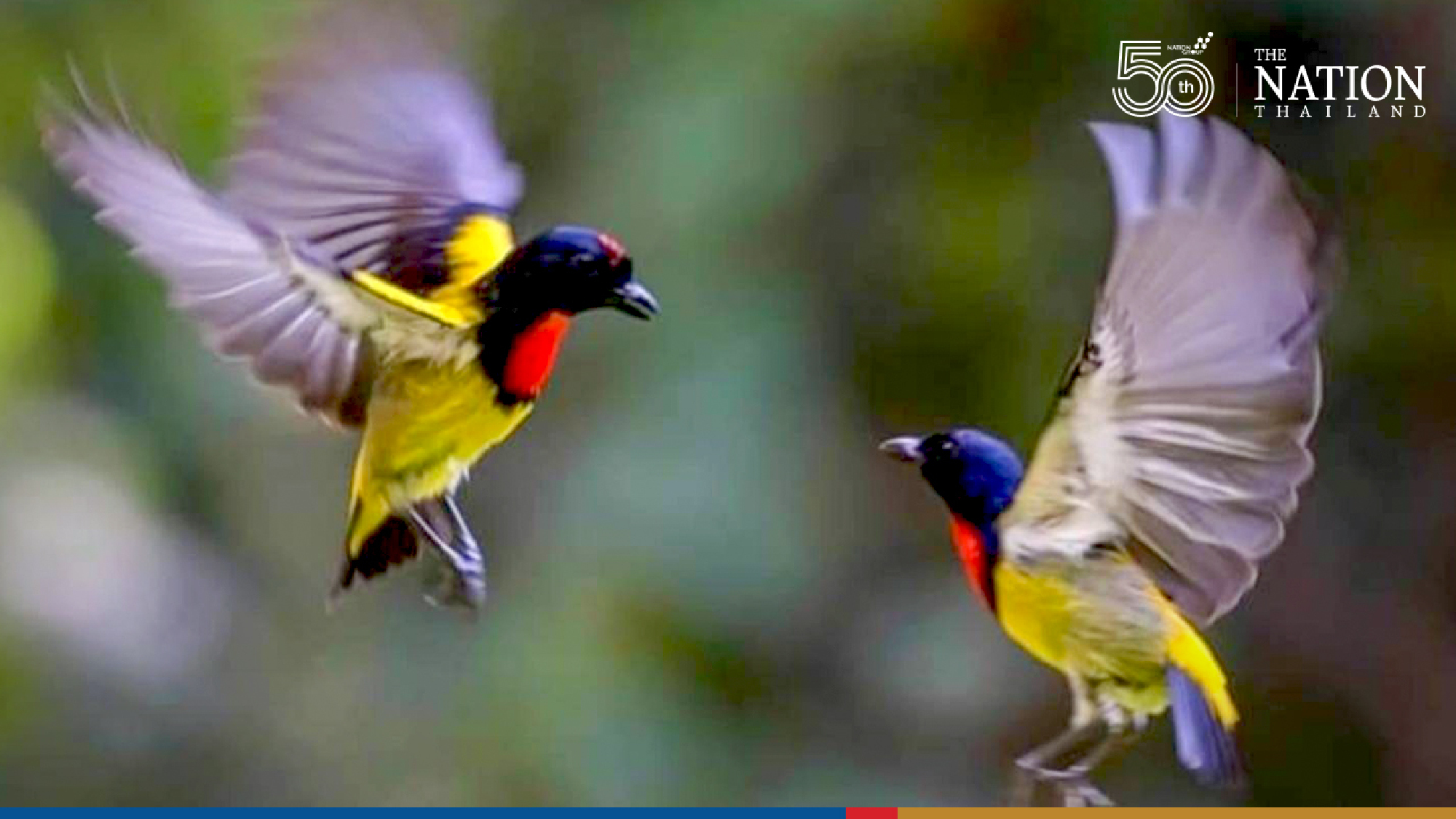 Photo Credit: Department of National Parks, Wildlife and Plant Conservation