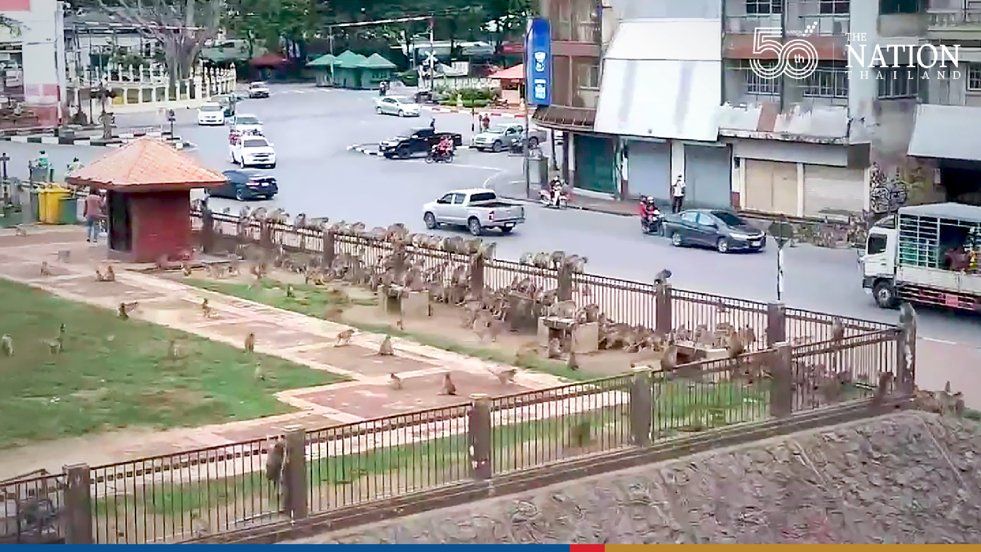 Warring monkeys bring Lopburi traffic to a standstill