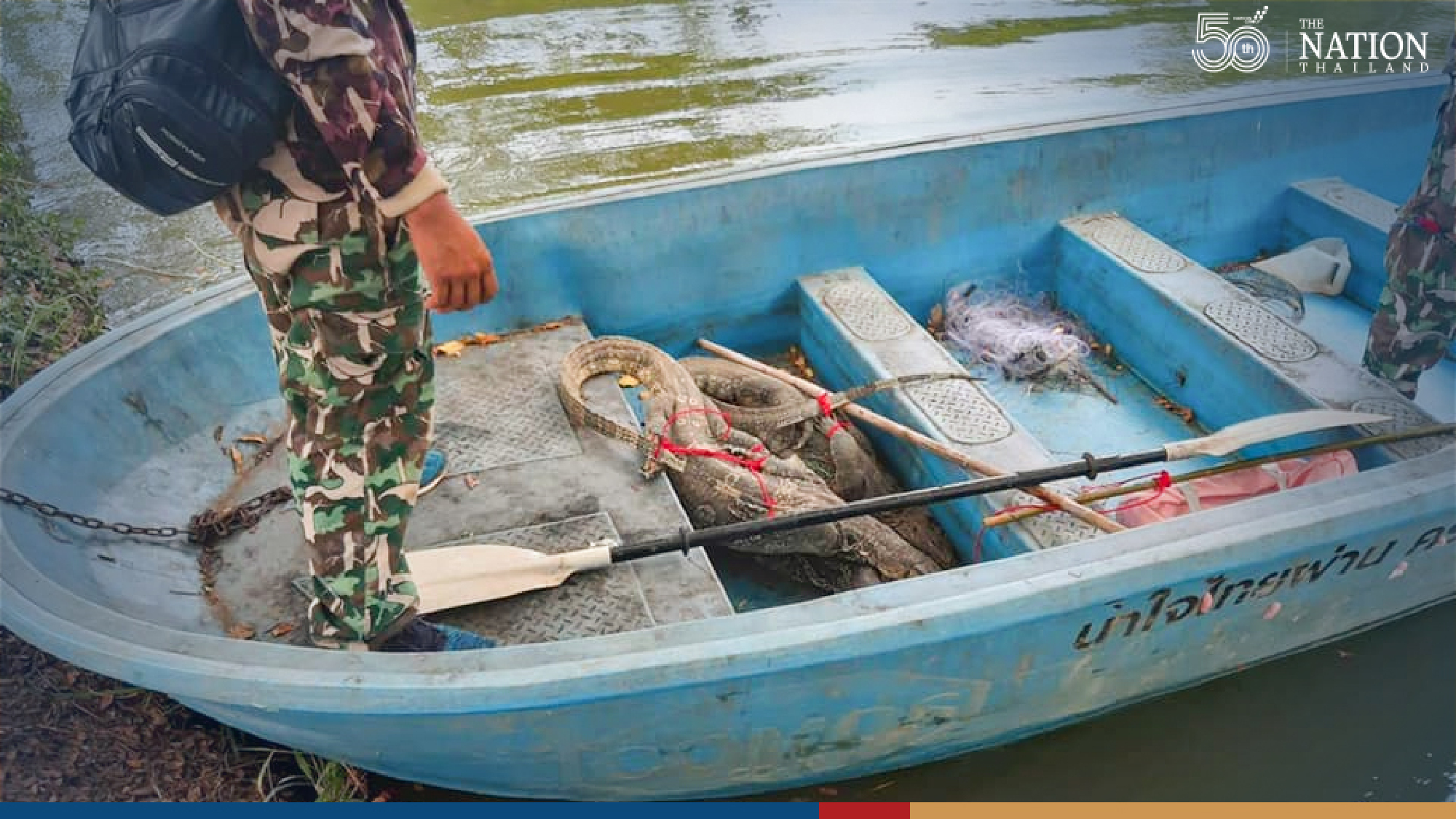 State officials catch 52 monitor lizards at two universities