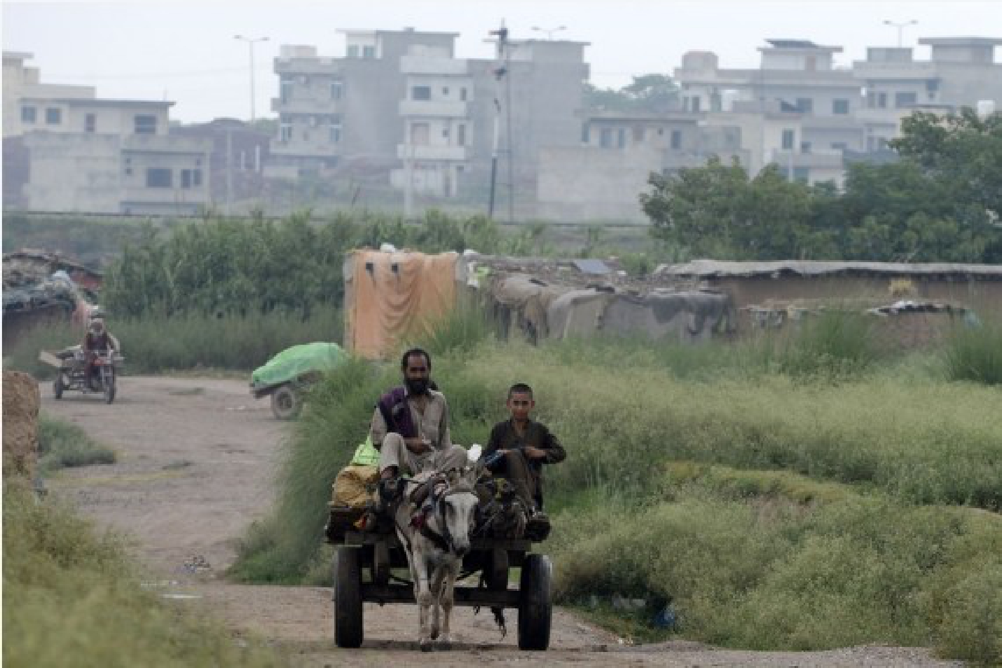 Afghan refugees ride on a donkey-cart on the outskirts of Islamabad, capital of Pakistan, Aug. 22, 2021. 
