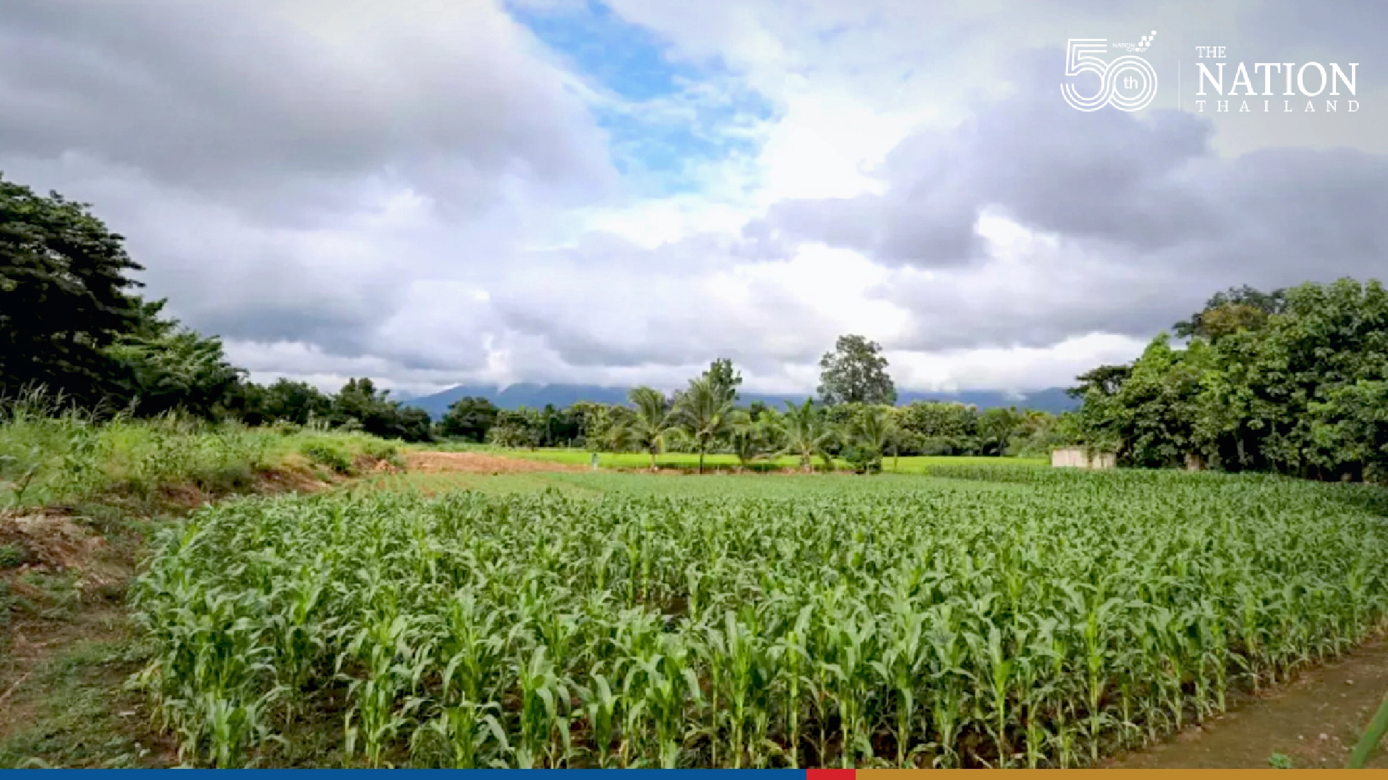 Late rains leave Thailand’s reservoirs more than half empty