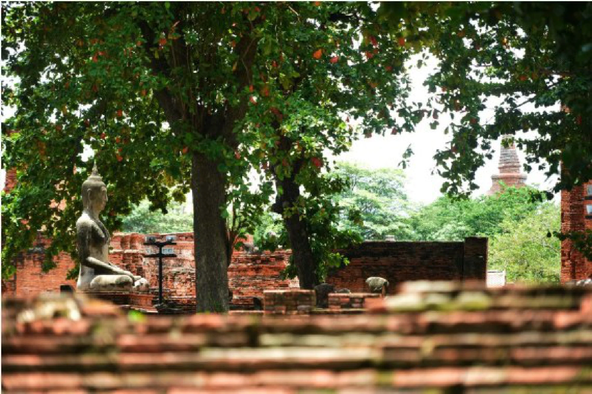 Photo taken on Aug. 17, 2021, shows the historic city of Ayutthaya in Ayutthaya, Thailand.