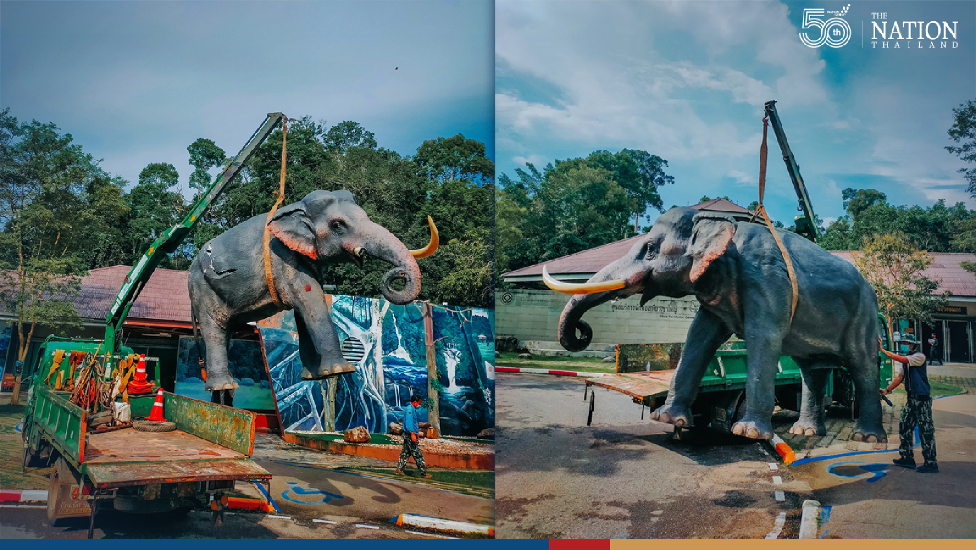 A one-sided battle of elephants