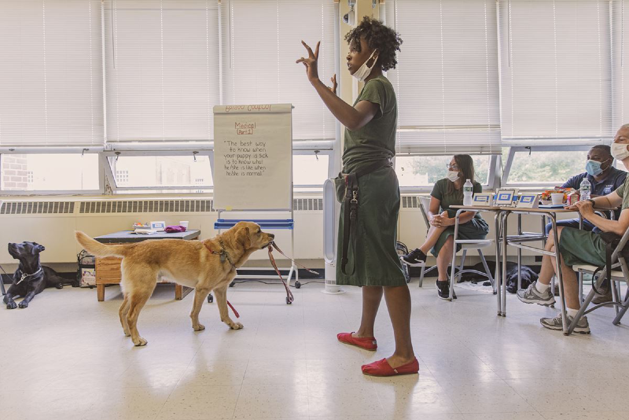 With stress on officers spiking, New York joins wave of police agencies using therapy dogs