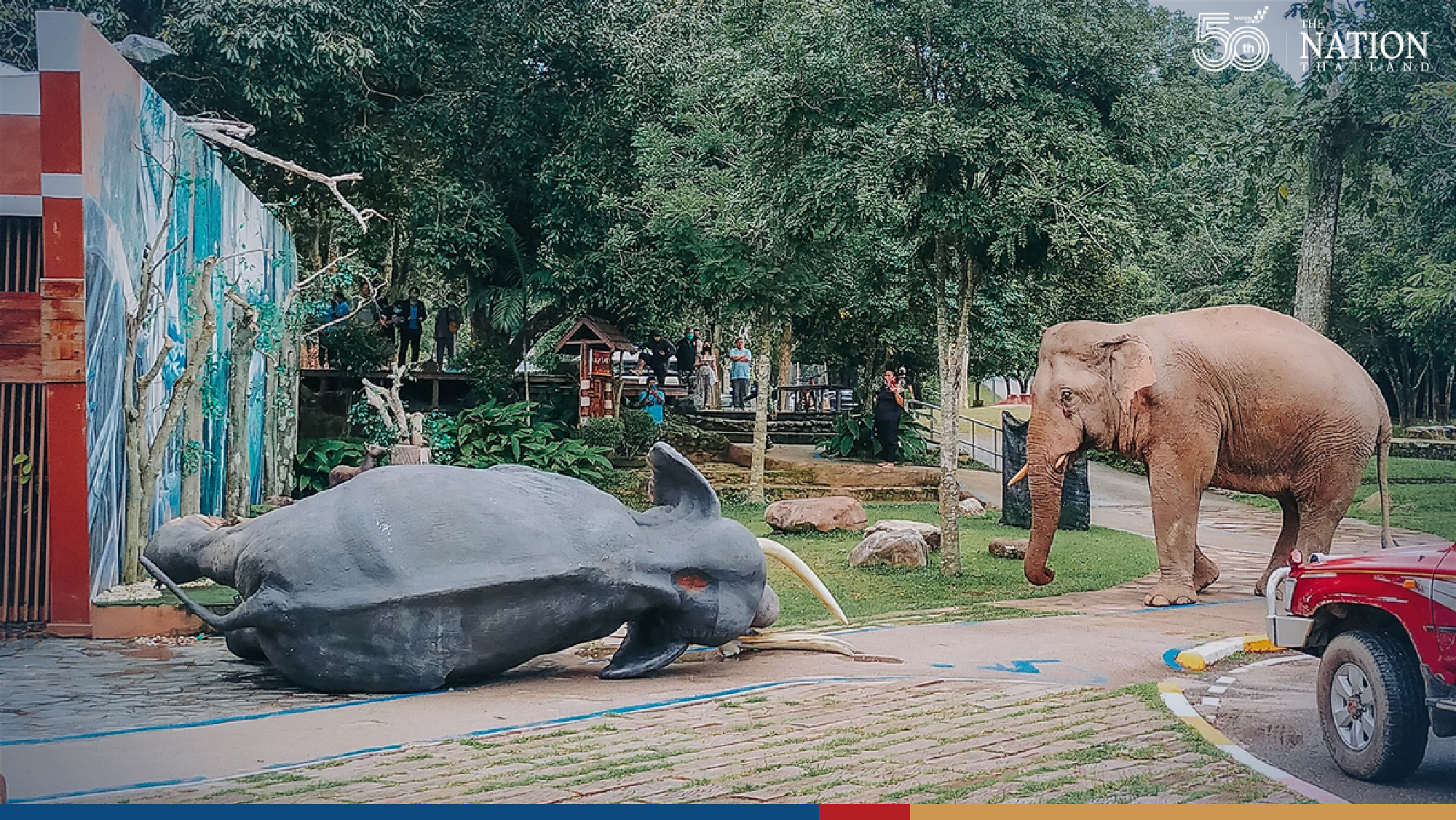 A one-sided battle of elephants