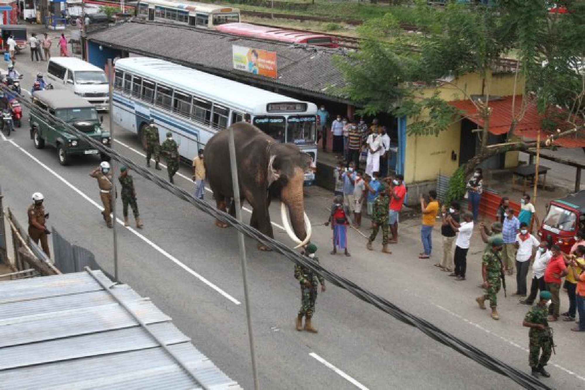 A royal elephant is seen passing Kadugannawa, a town nearby Kandy, Sri Lanka, on Aug. 11, 2021 to take part in the Kandy Esala Perahera. 