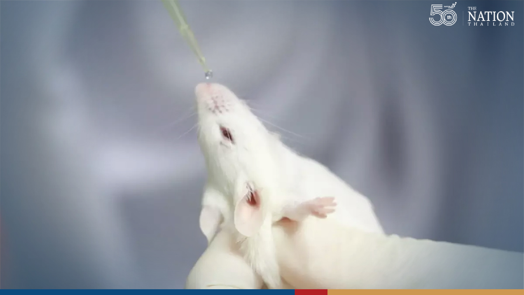 Thai nasal-spray Covid vaccines set for tests on humans