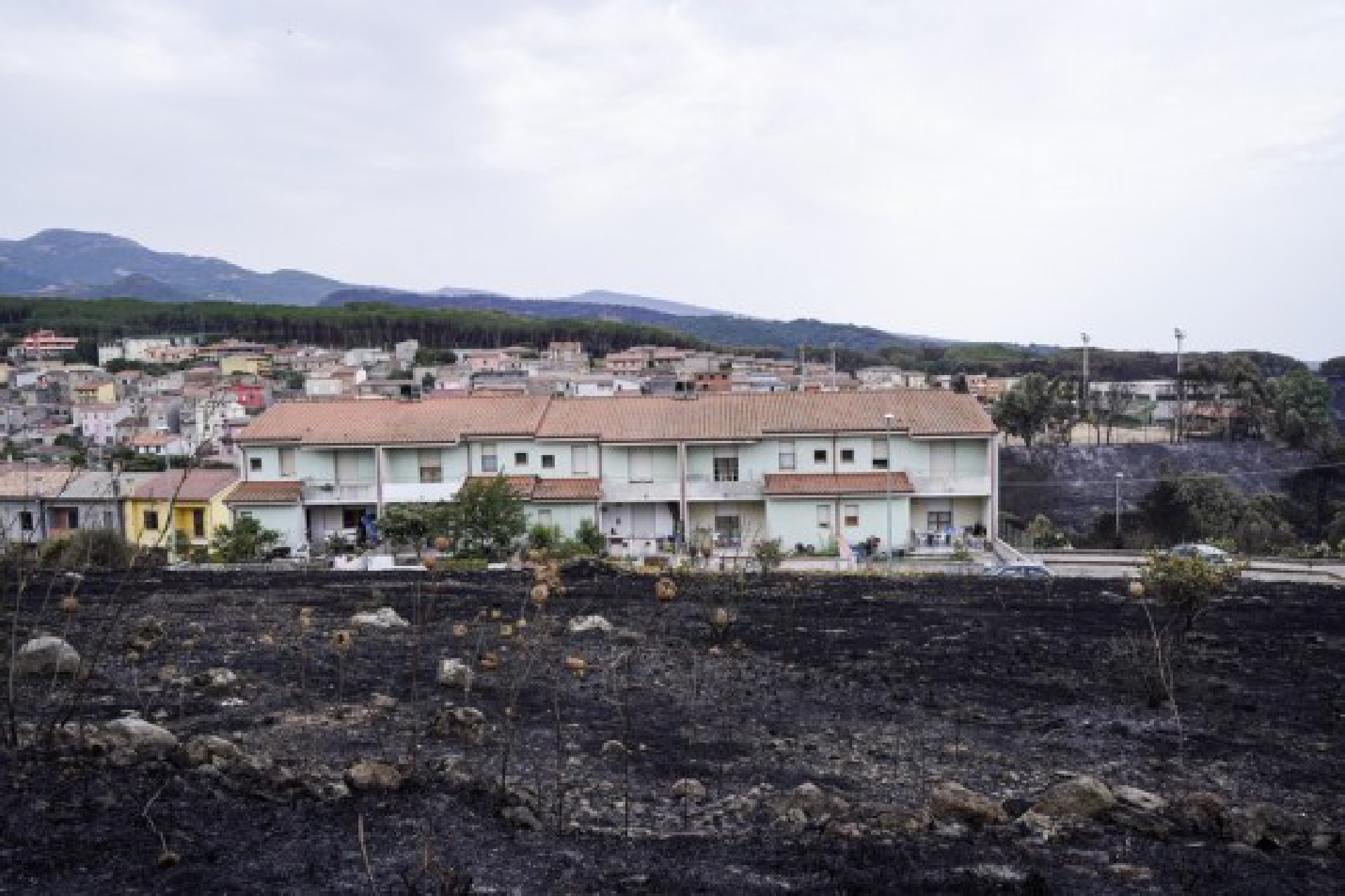 Photo taken on July 26, 2021 shows a burned area in Oristano, Sardinia, Italy.