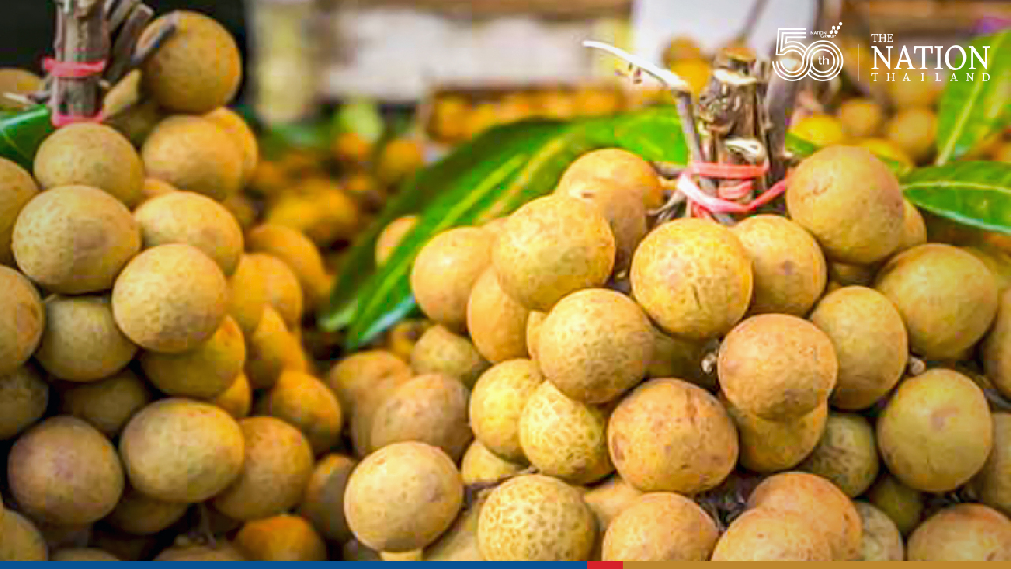 China okays longan shipments from 56 exporters