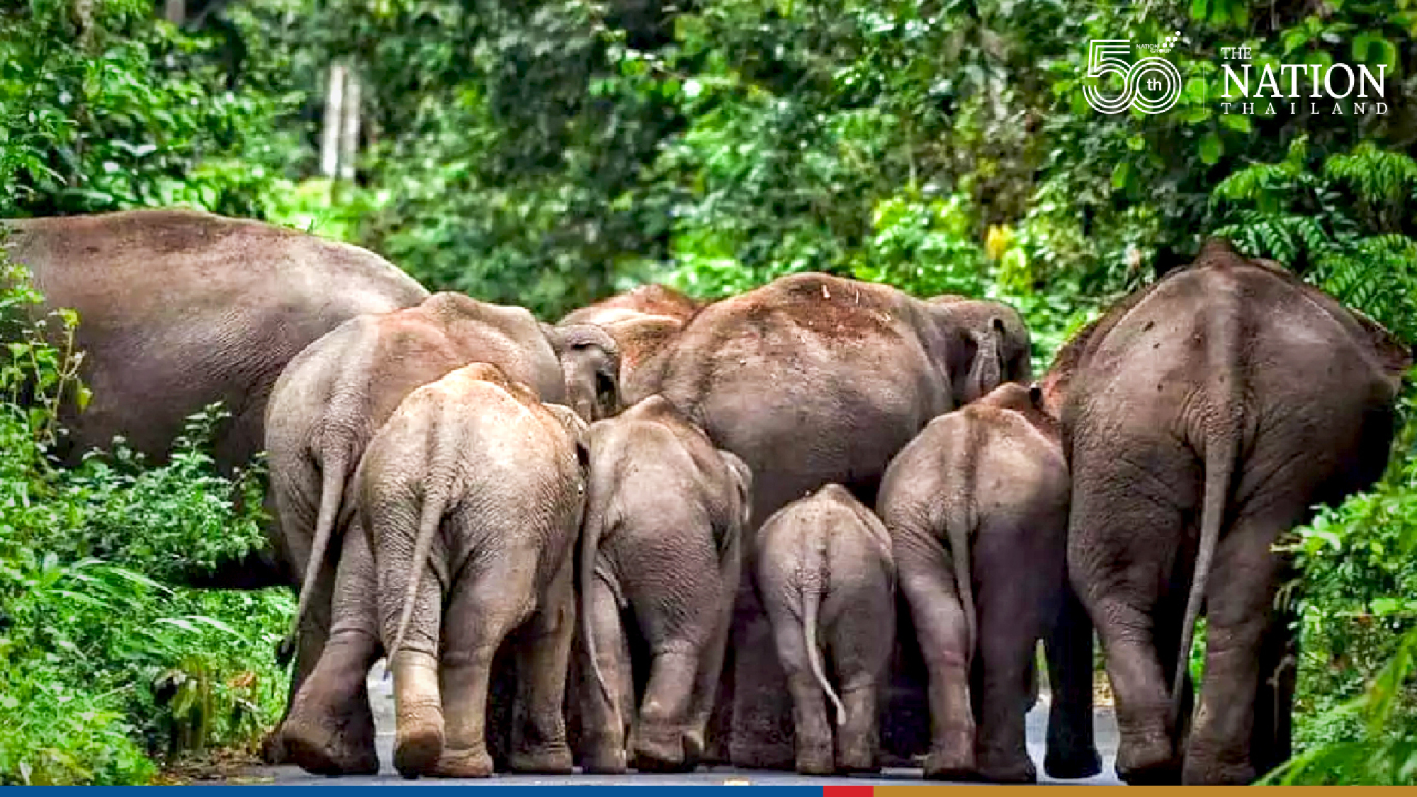 Khao Yai closes 2 key attractions over rainy season