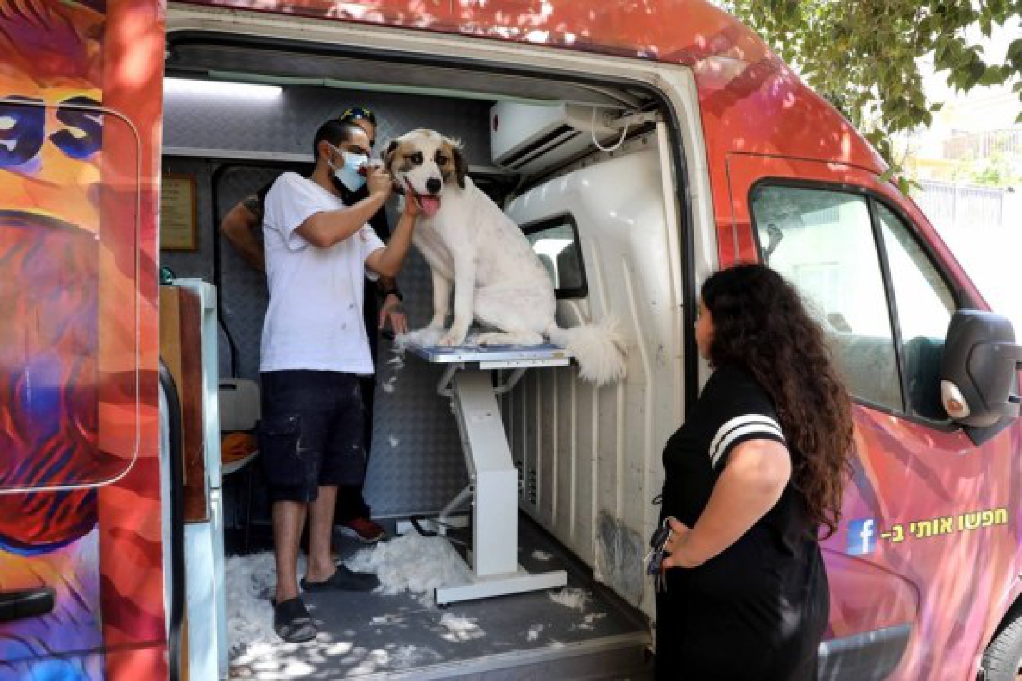 A dog barber trims the hair of  a pet dog in his mobile barber shop in central Israeli city of Modiin, Aug. 26, 2021. 