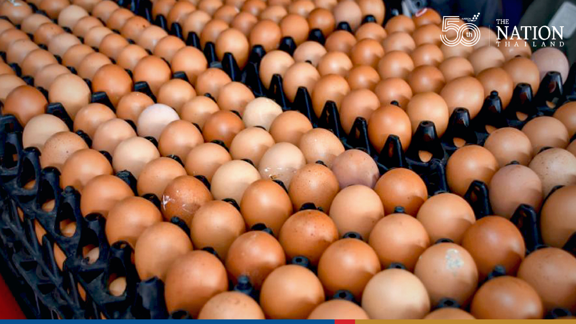 No need to hoard food, Thailand’s supplies not running out, says DIT