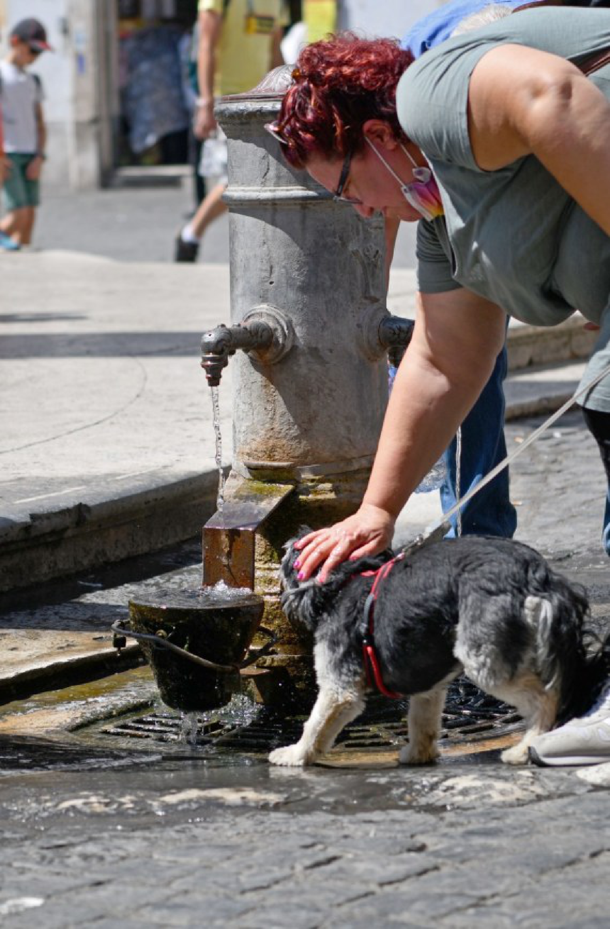 A dog drinks water under a water tap near the Pantheon in Rome, Italy, Aug. 12, 2021.