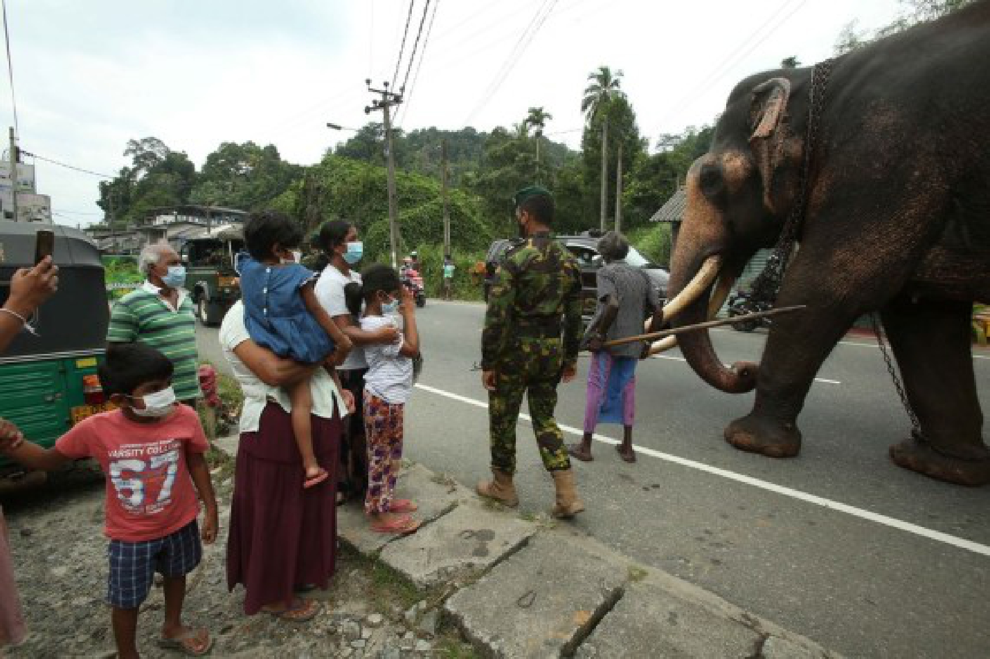 A royal elephant is seen passing Kadugannawa, a town nearby Kandy, Sri Lanka, on Aug. 11, 2021 to take part in the Kandy Esala Perahera.