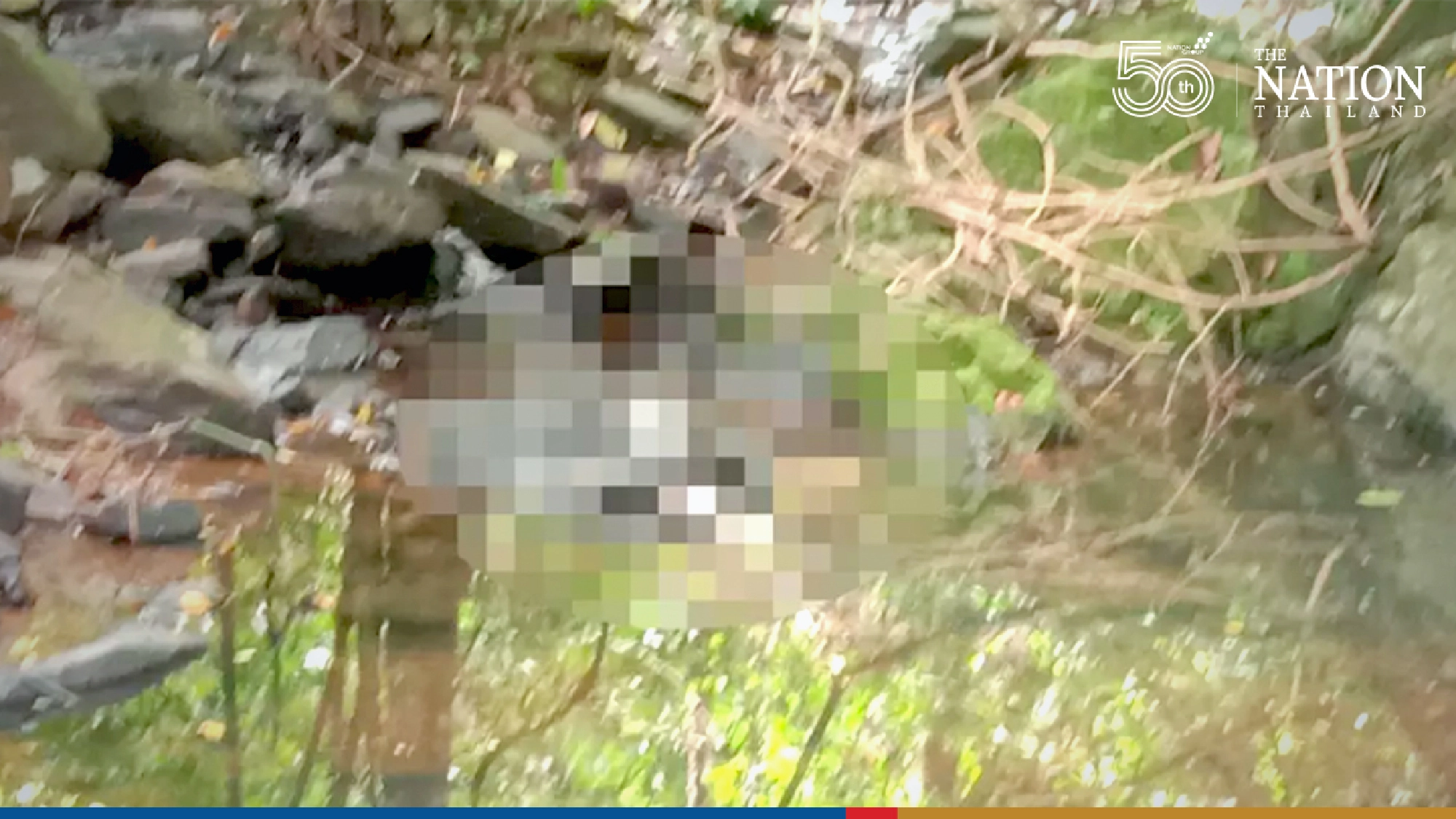 Body of Swiss woman, 57, found in a creek in Phuket