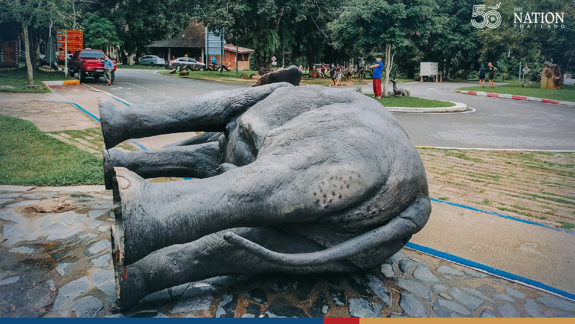 A one-sided battle of elephants